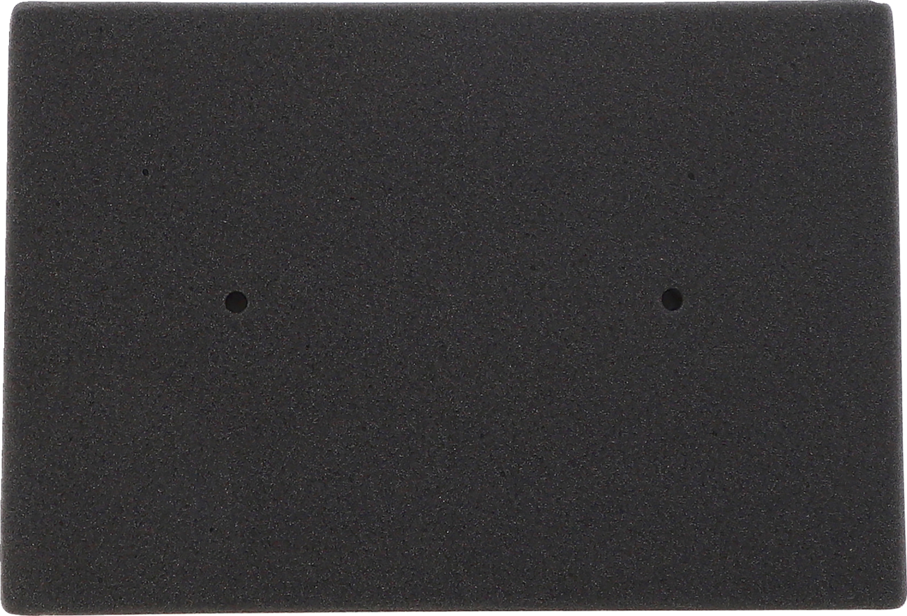 EMGO - 1293016 - Air Filter - Kawasaki image 3 of 5