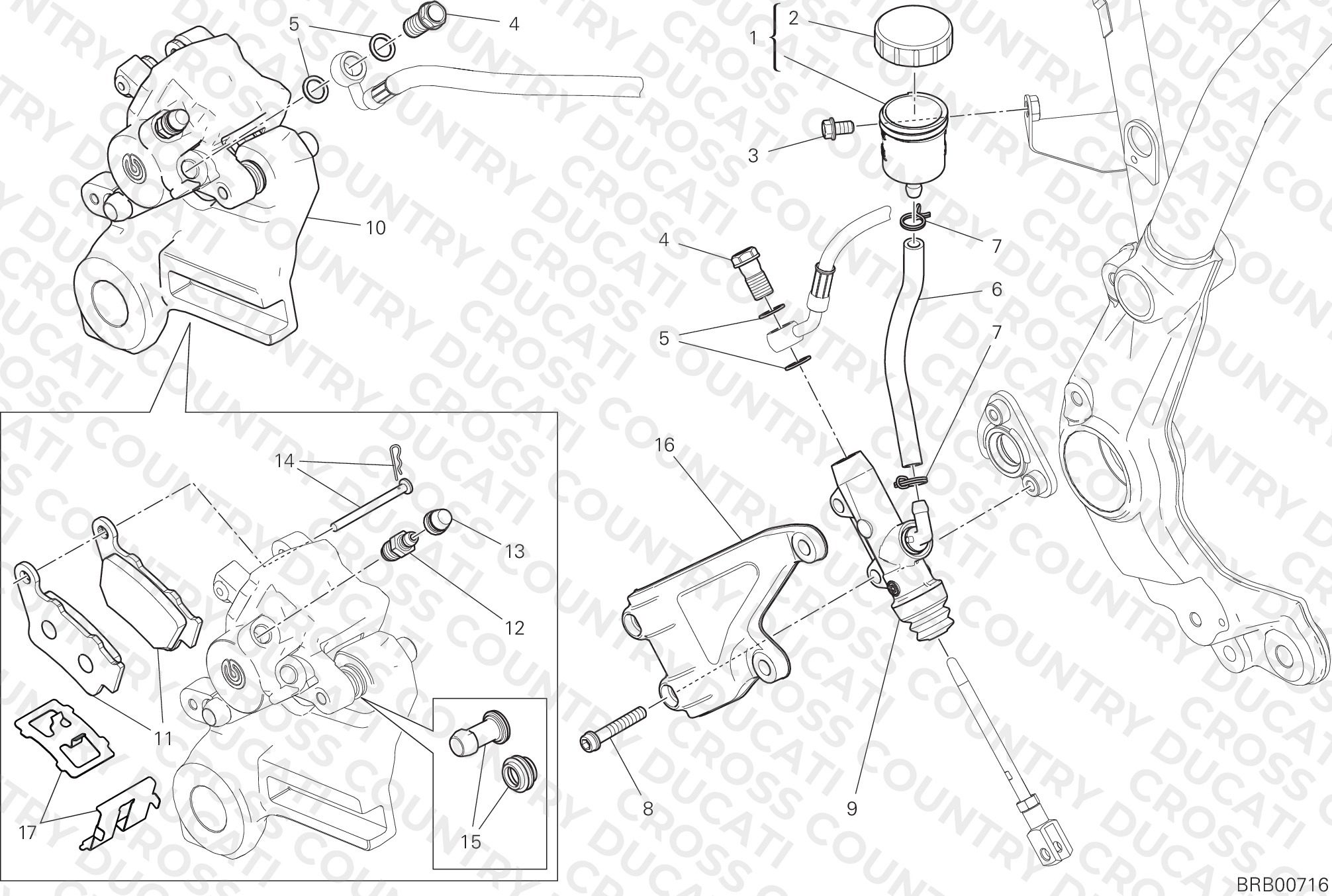 Rear Brake System