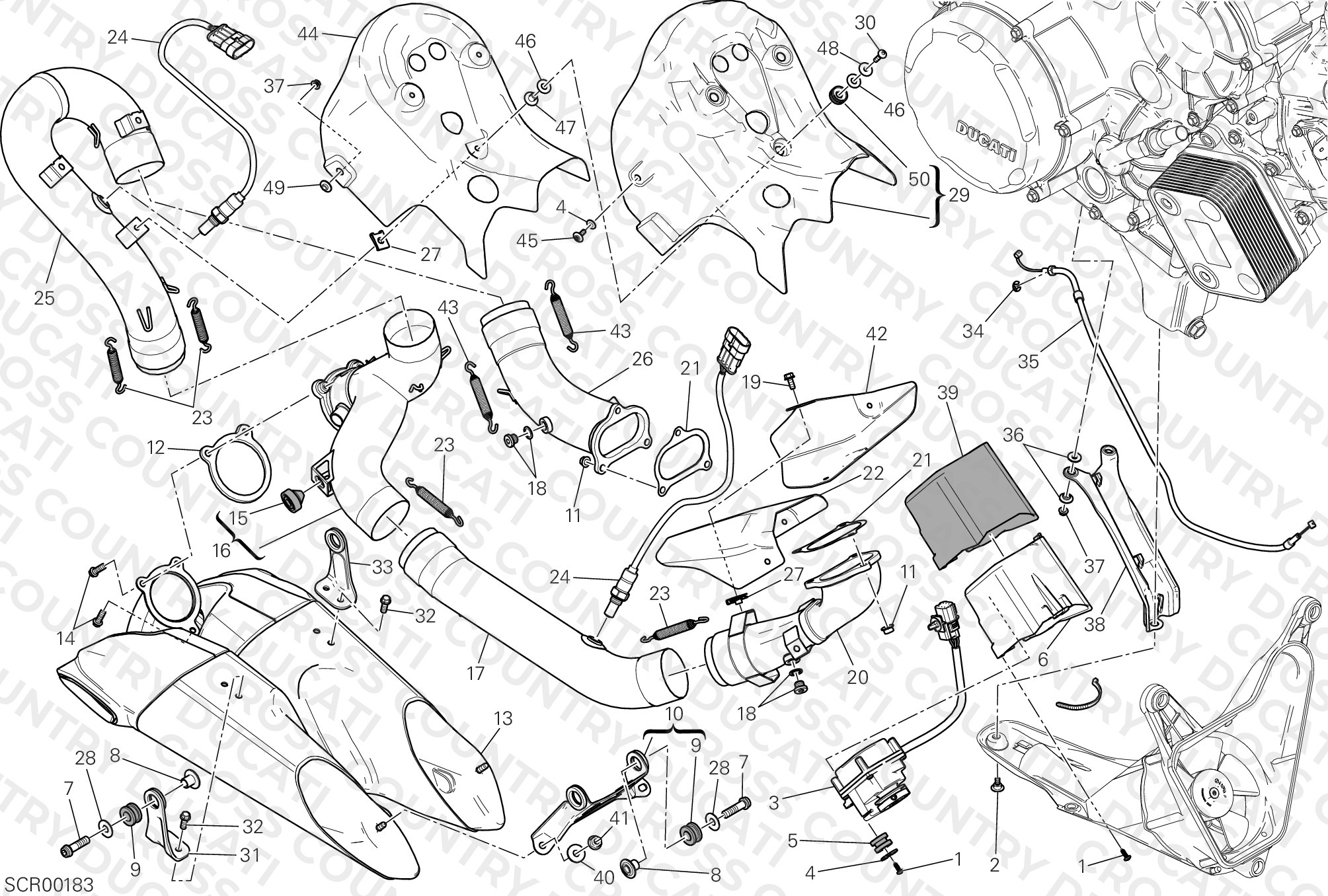 Exhaust System