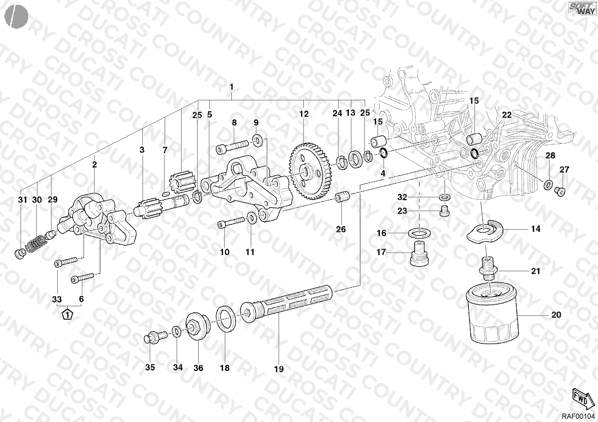 Oil Pump - Filter