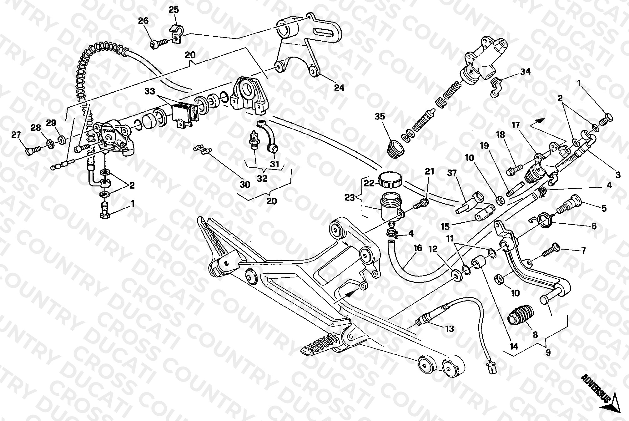 Rear Brake System