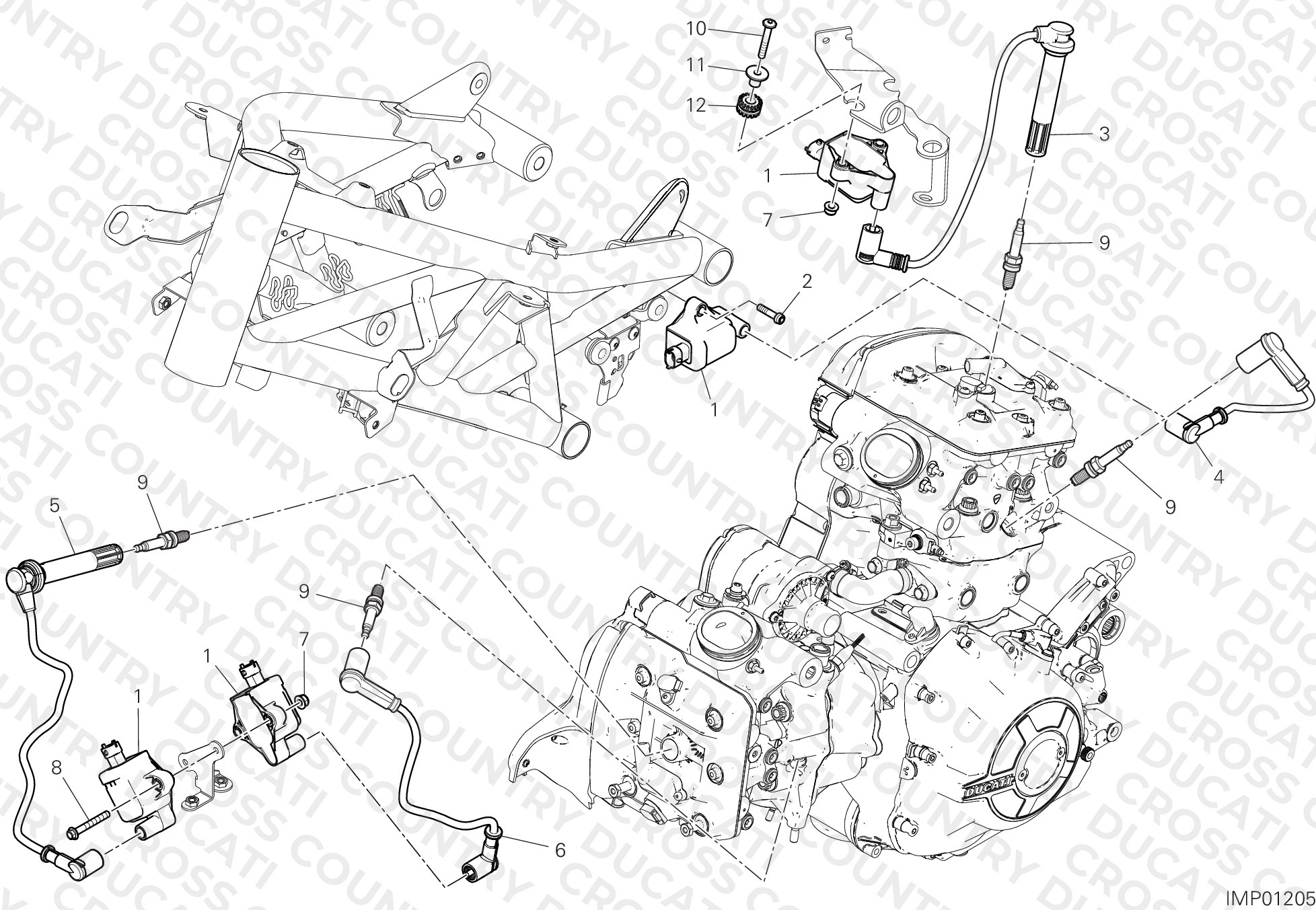 Wiring Harness (Coil)