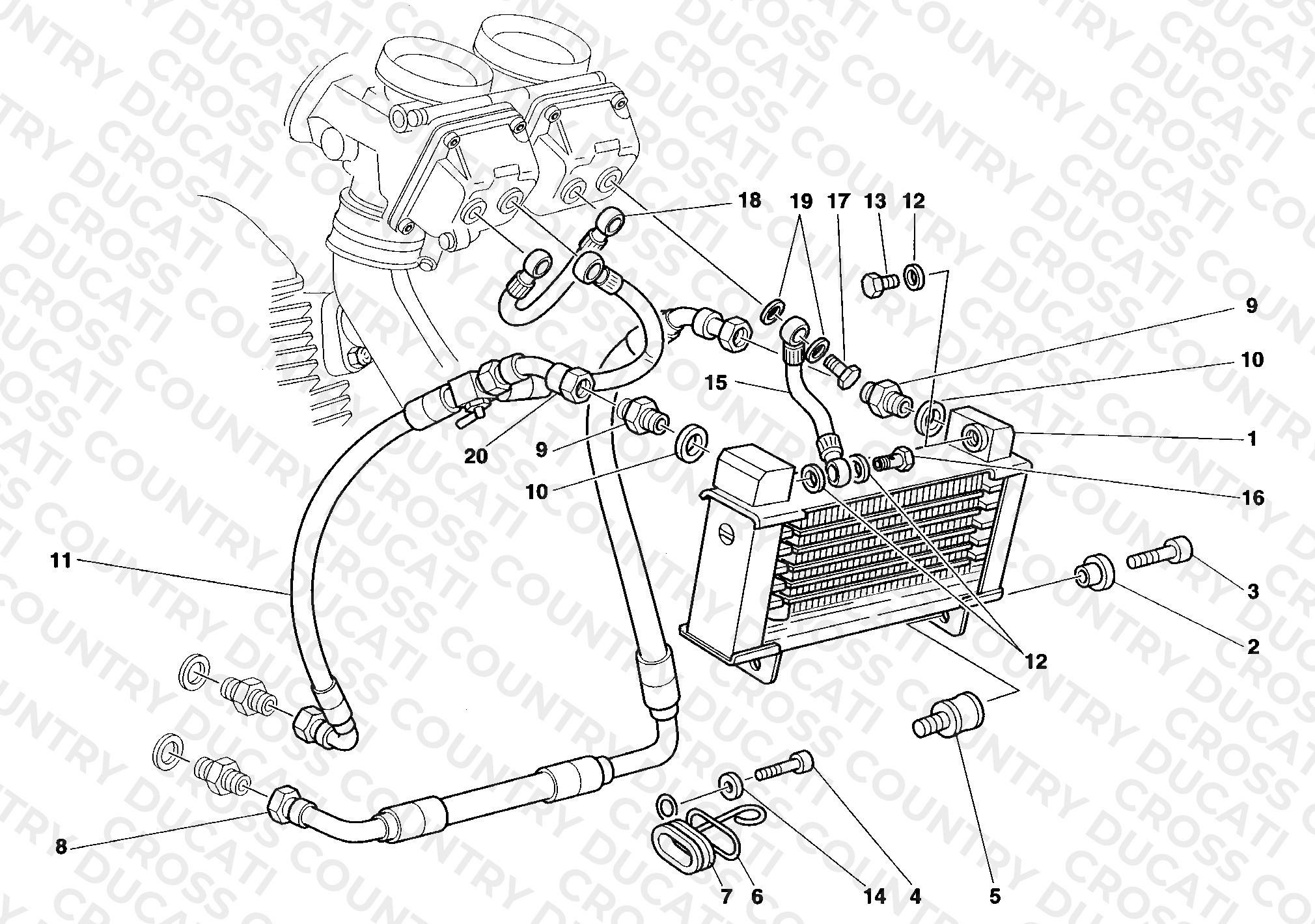 Oil Cooler