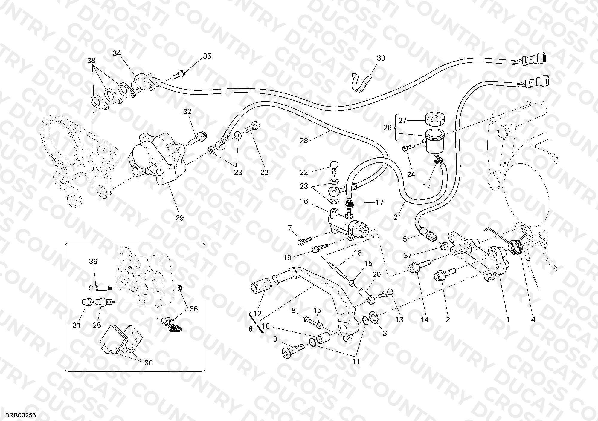 Rear Brake System