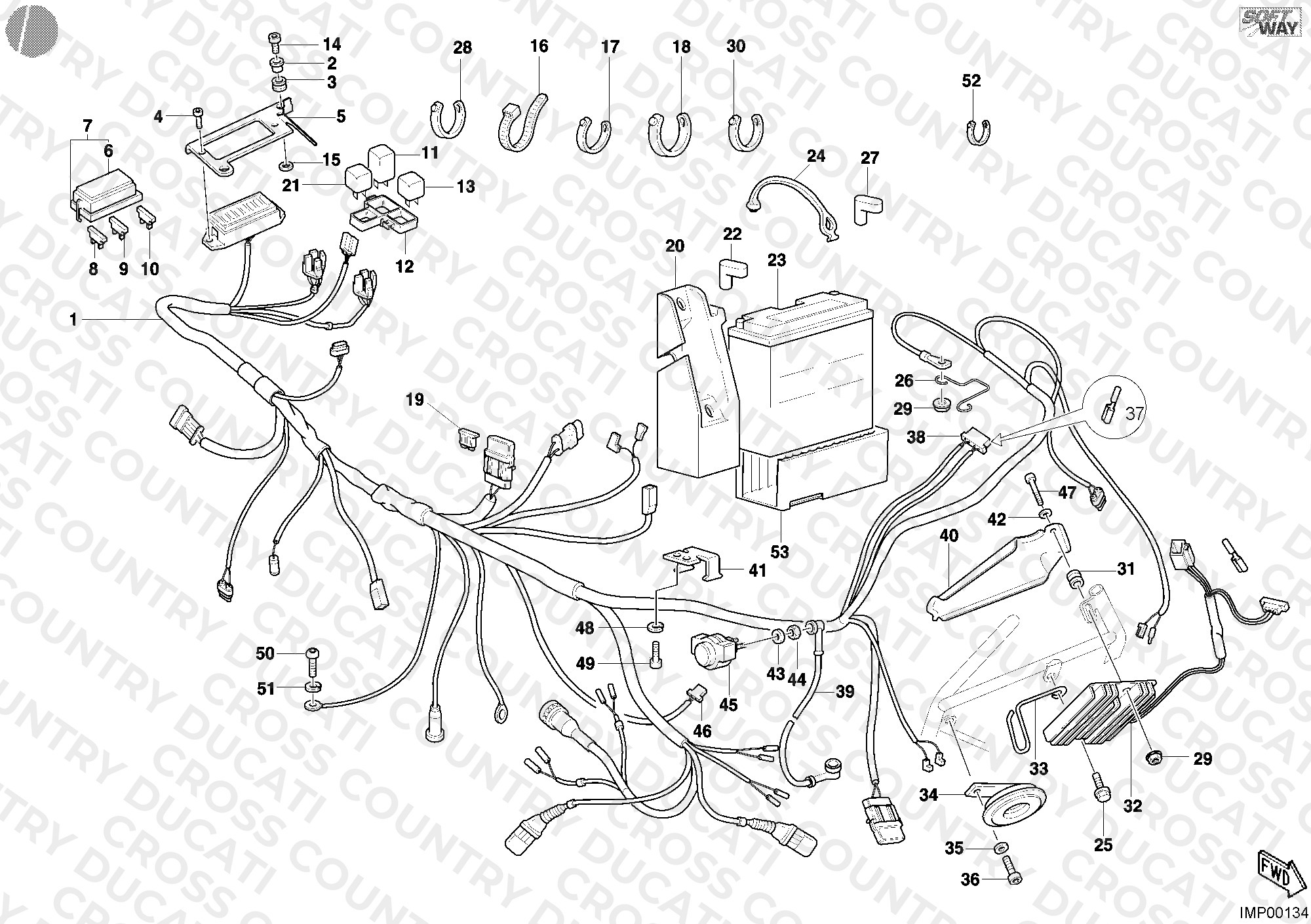 Wiring Harness