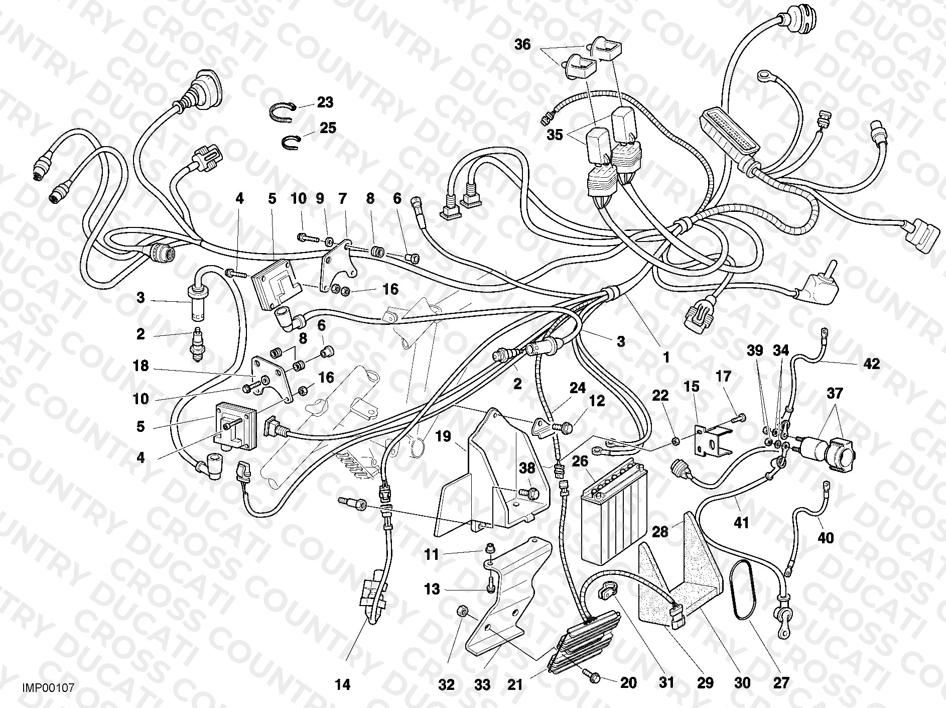 Wiring Harness