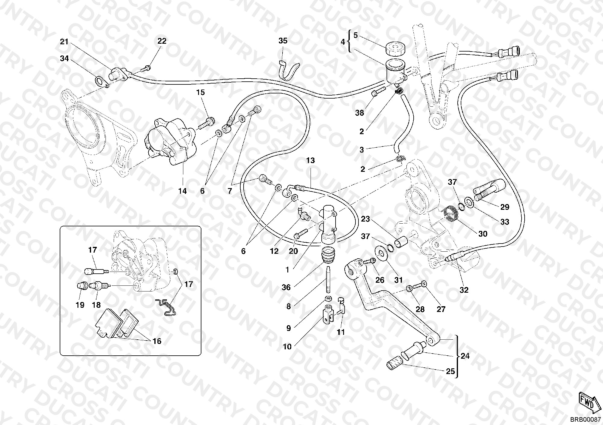 Rear Brake System