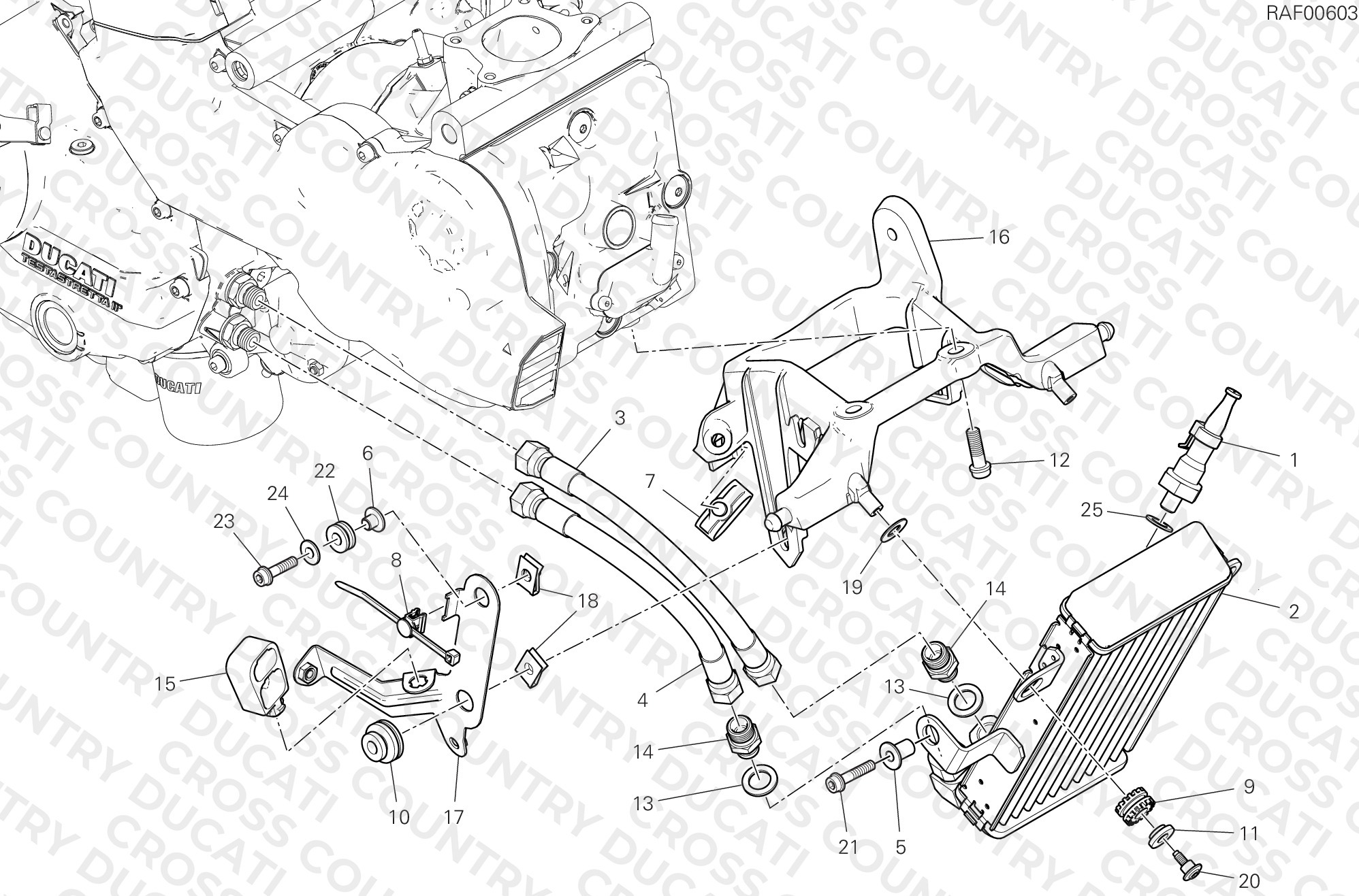 Oil Cooler