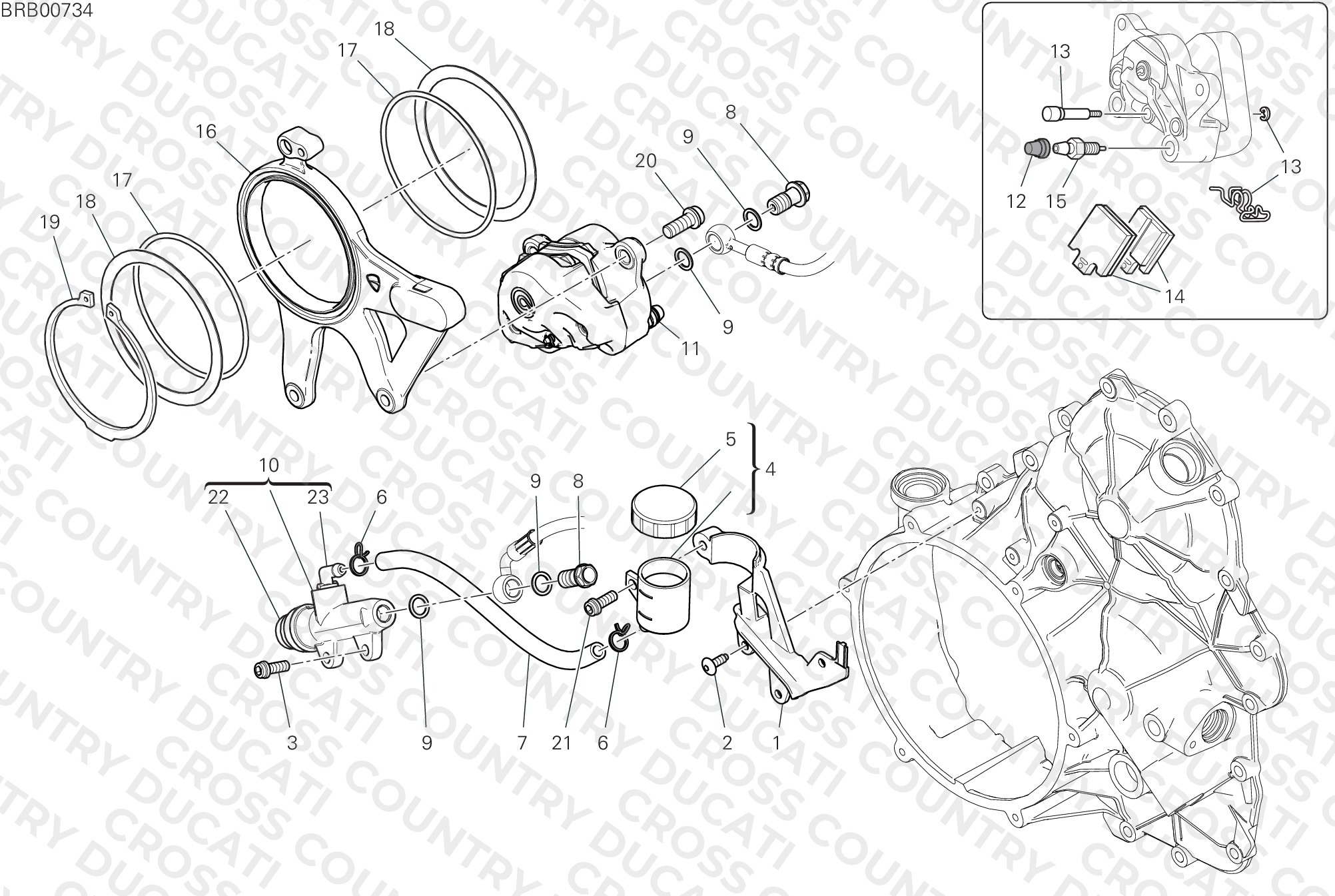 Rear Brake System