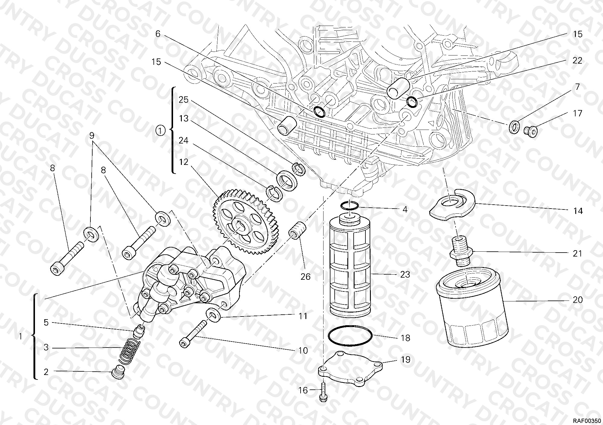 Oil Pump - Filter