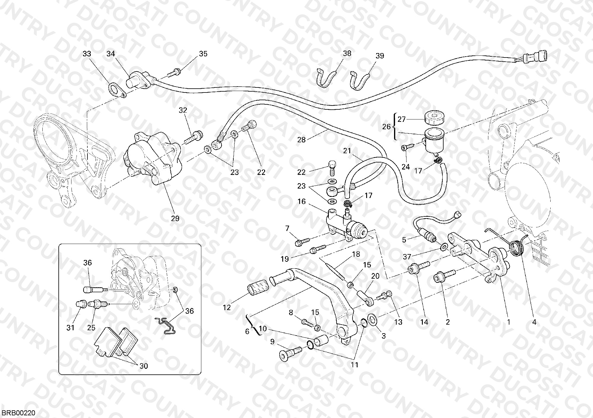 Rear Brake System