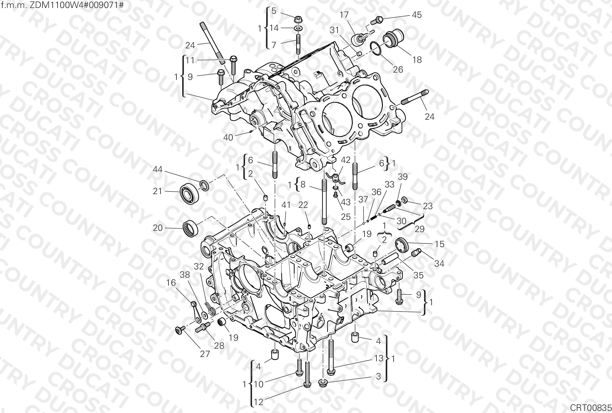 Half-Crankcases Pair