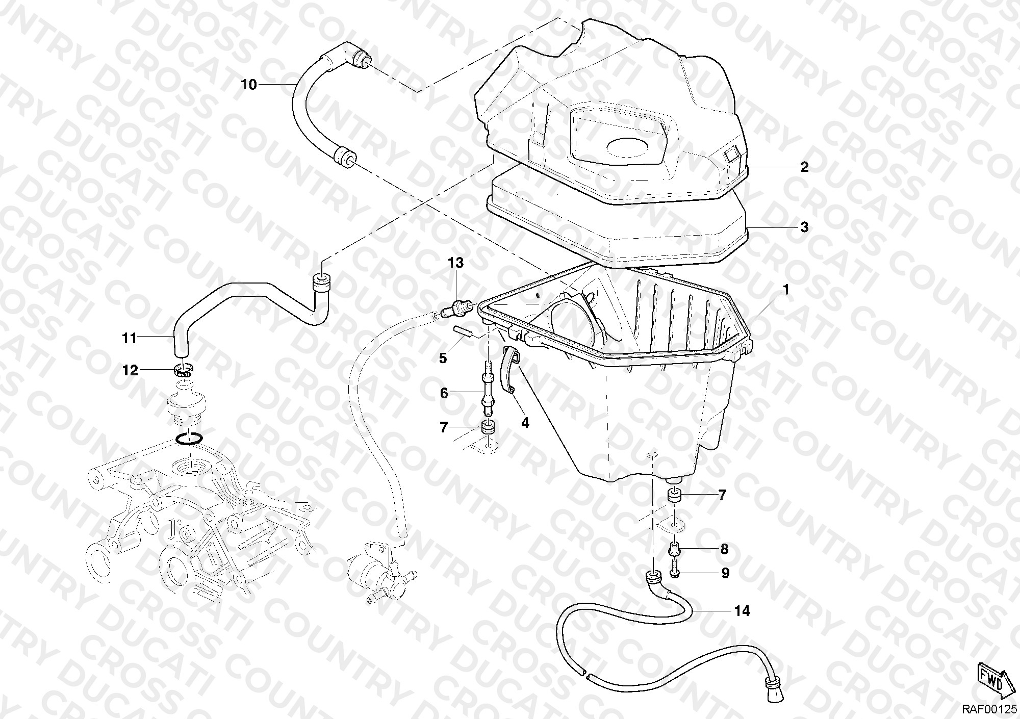 Intake