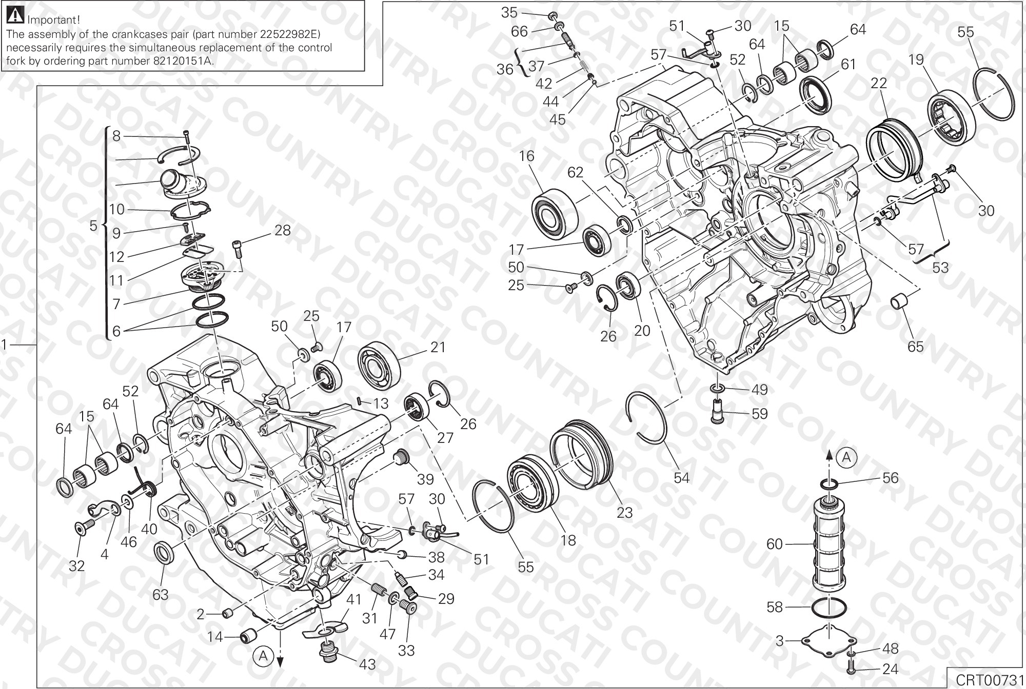 Half-Crankcases Pair