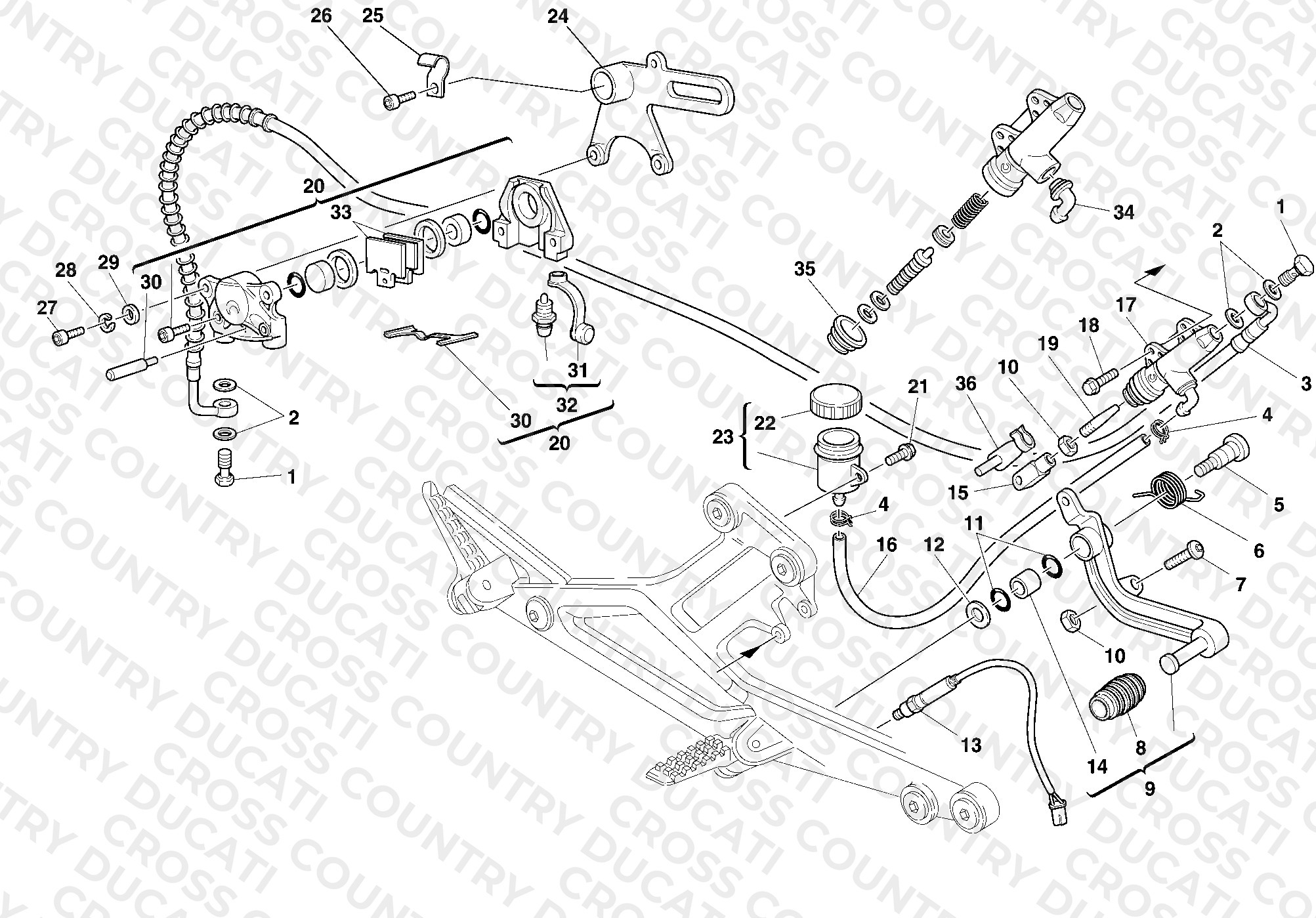Rear Brake System