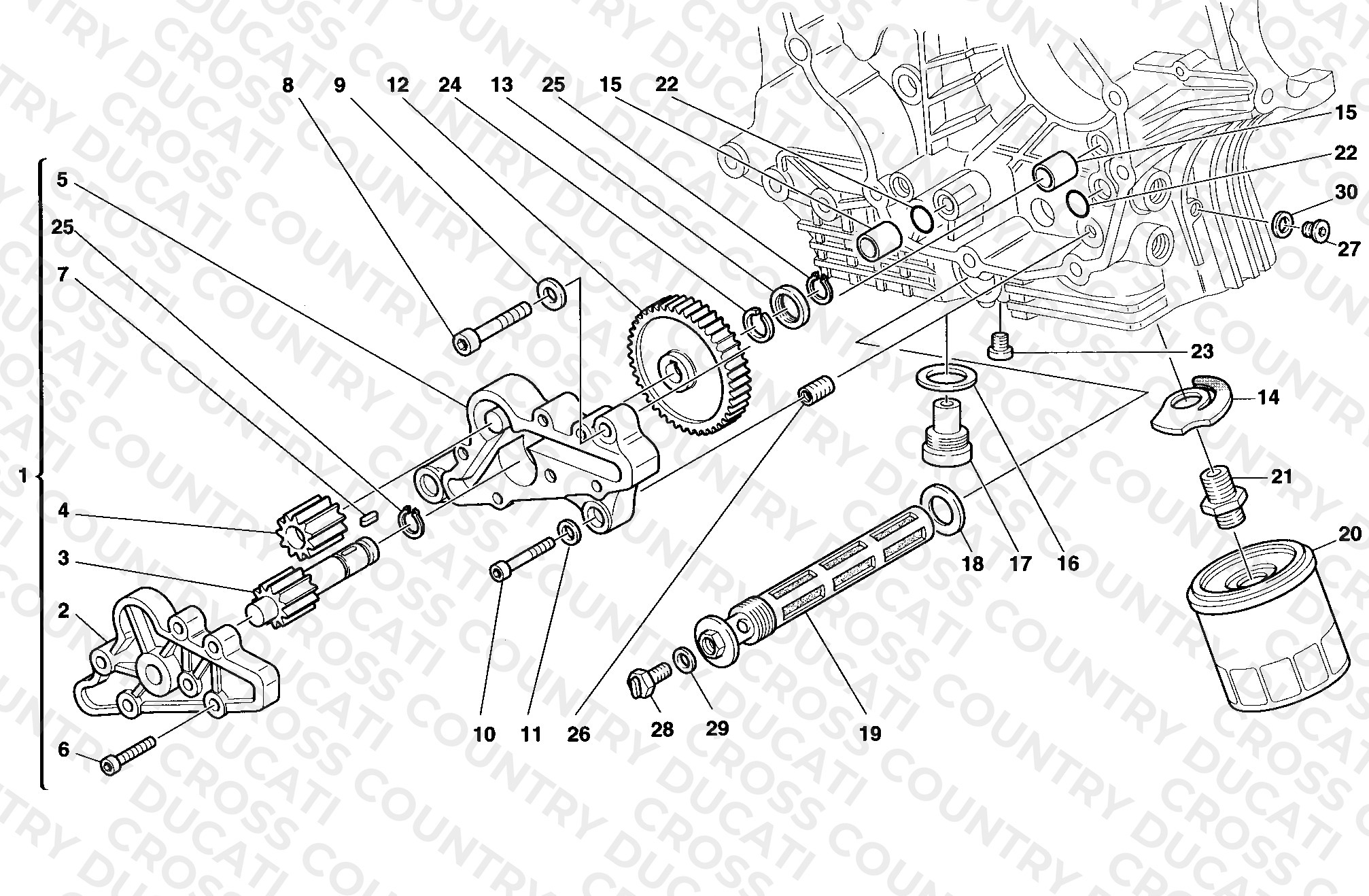 Oil Pump - Filter