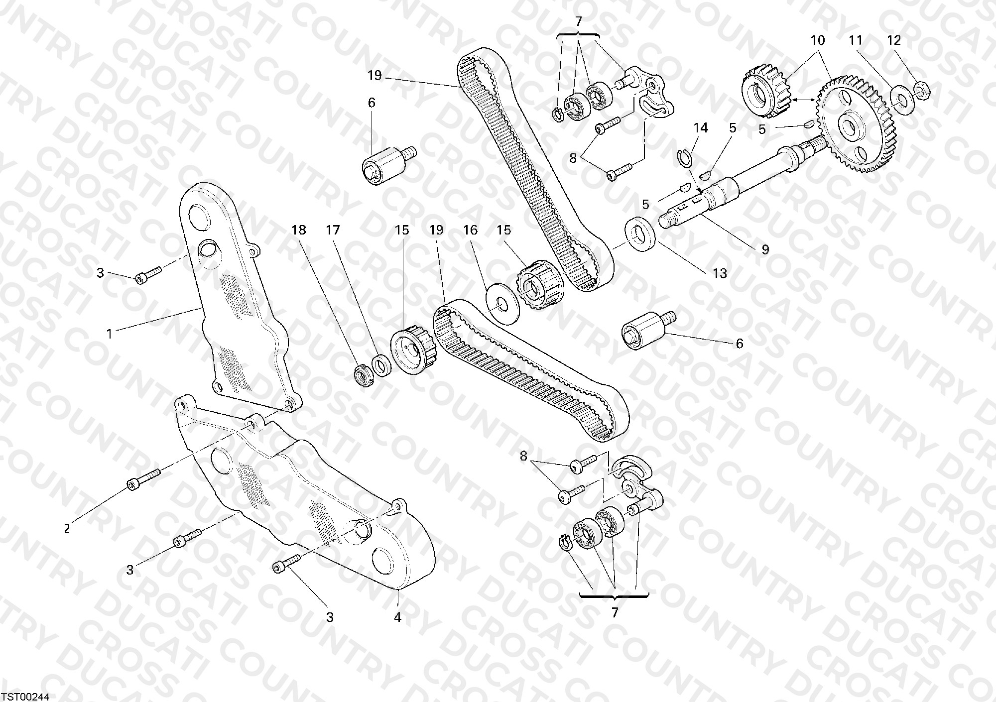 Timing Belt