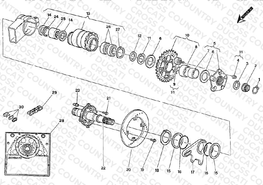 Hub, Rear Wheel