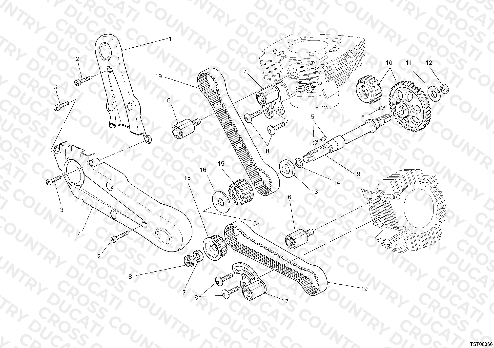 Timing Belt