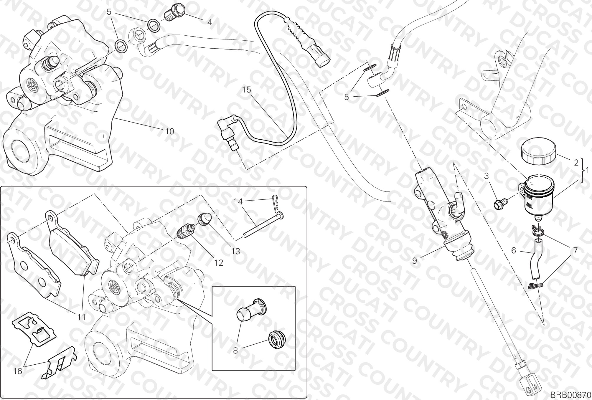 Rear Brake System