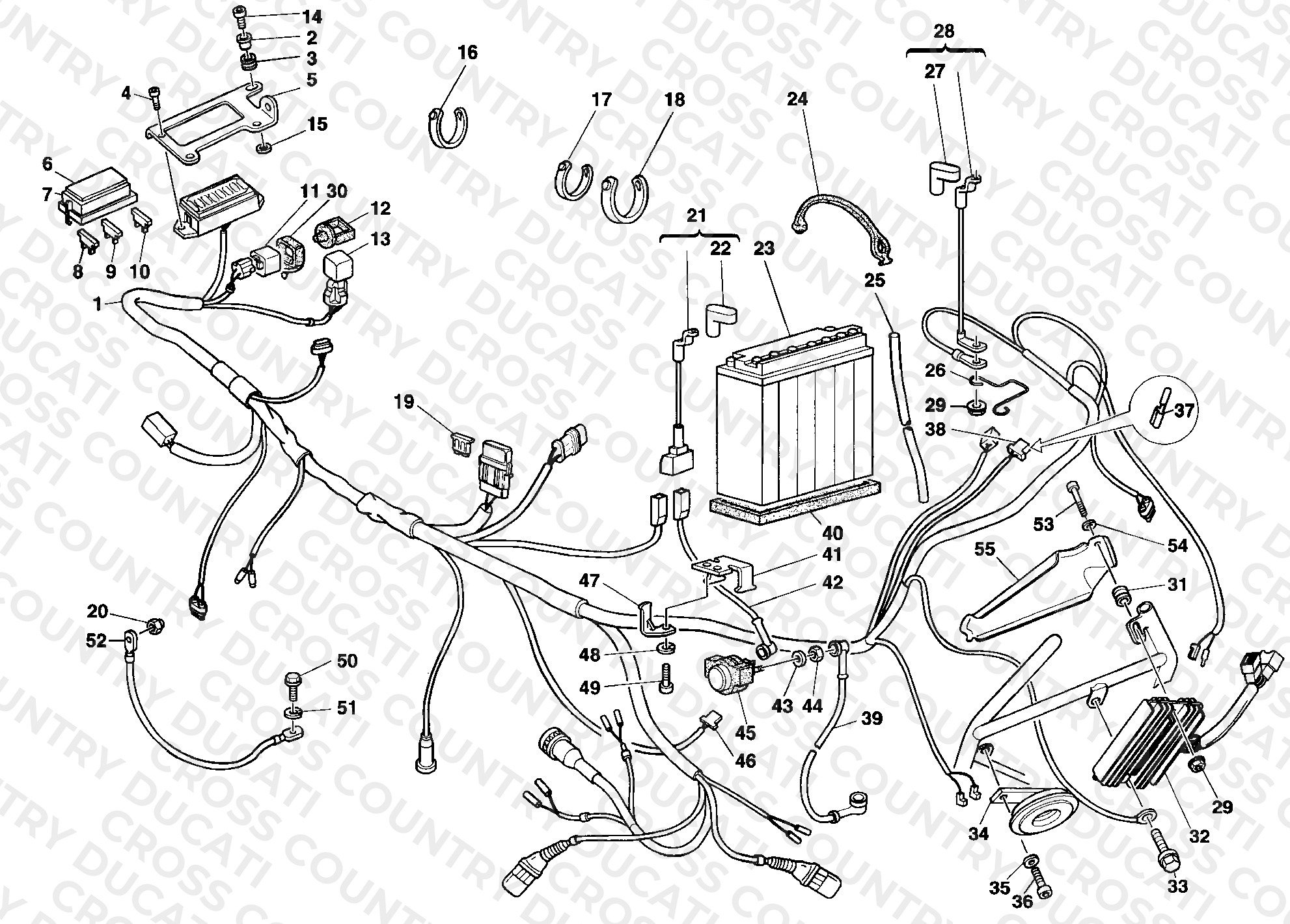 Wiring Harness