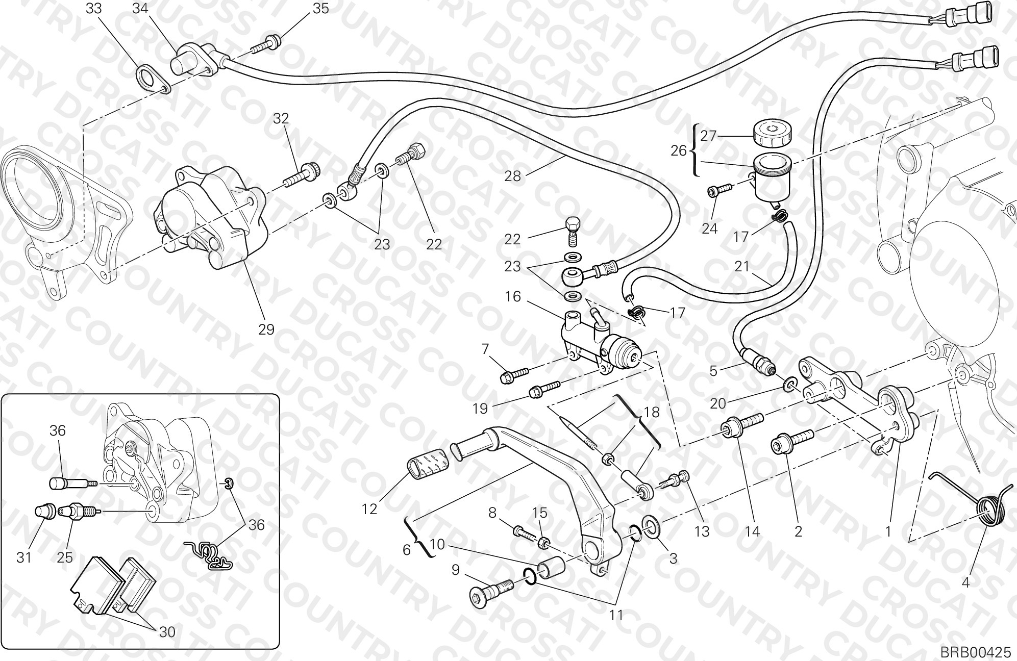 Rear Brake System