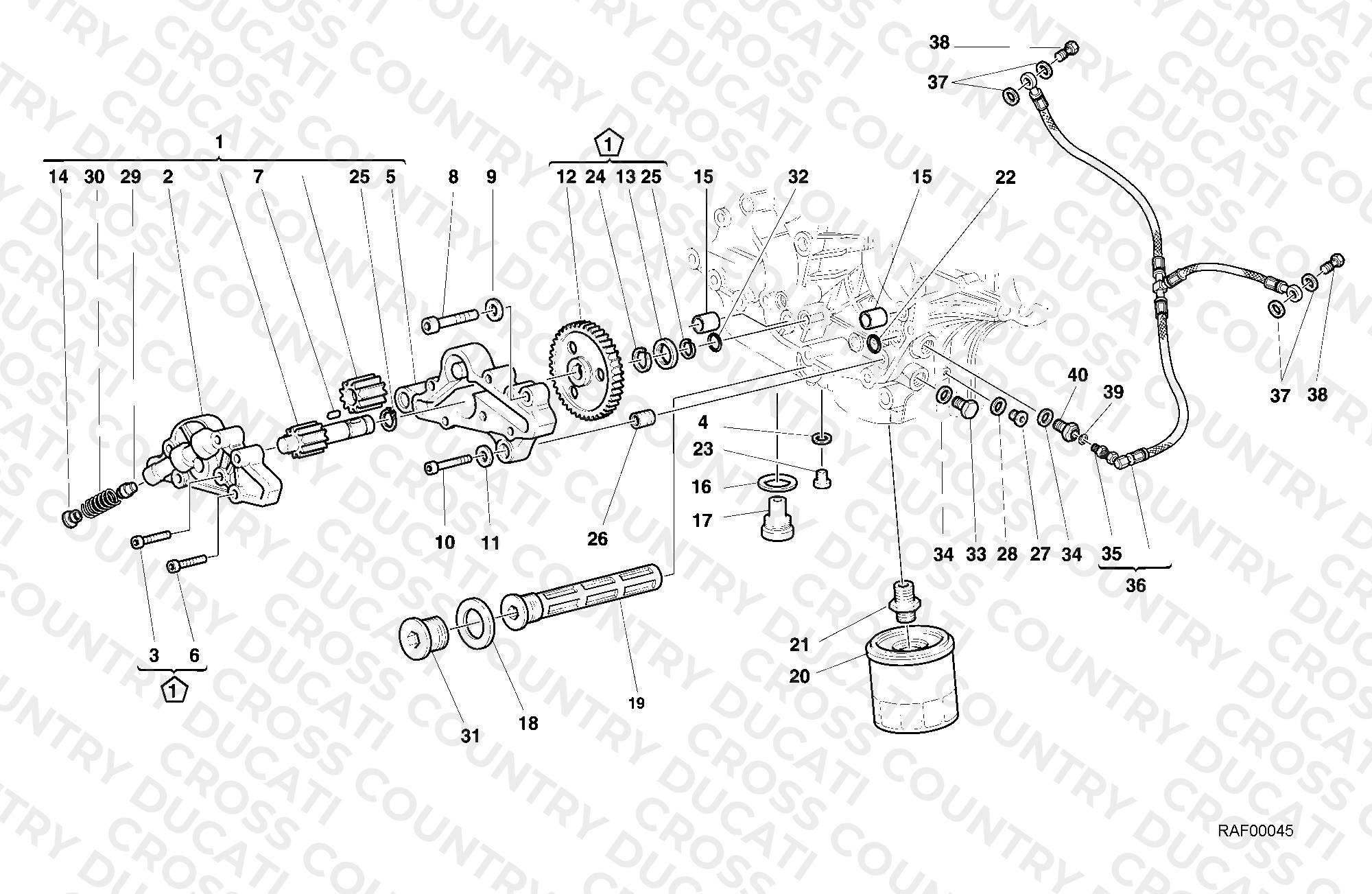 Oil Pump - Filter