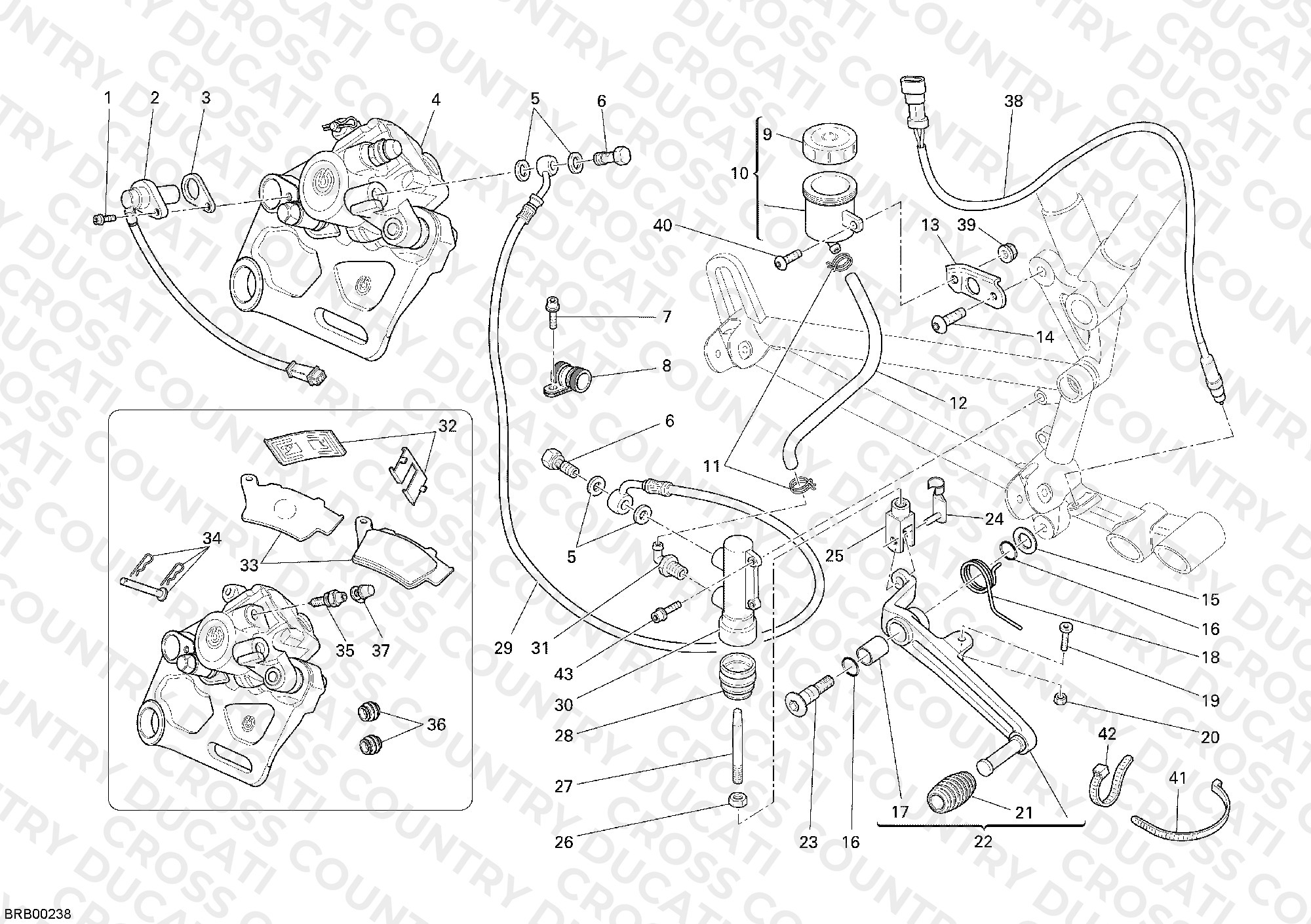 Rear Brake System