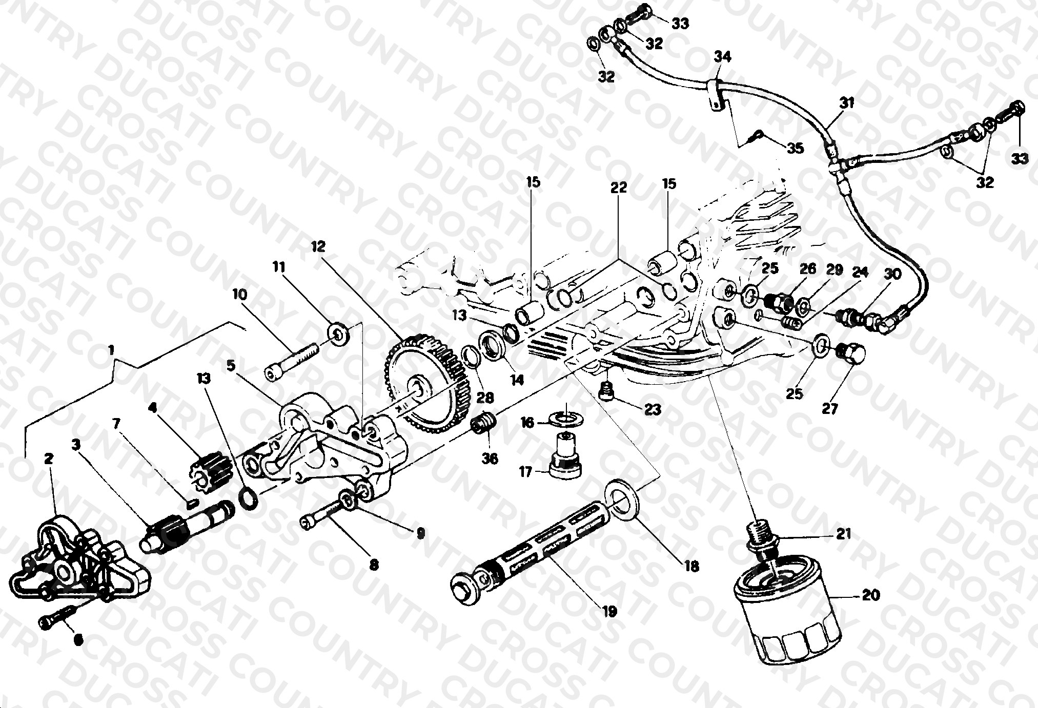 Oil Pump - Filter