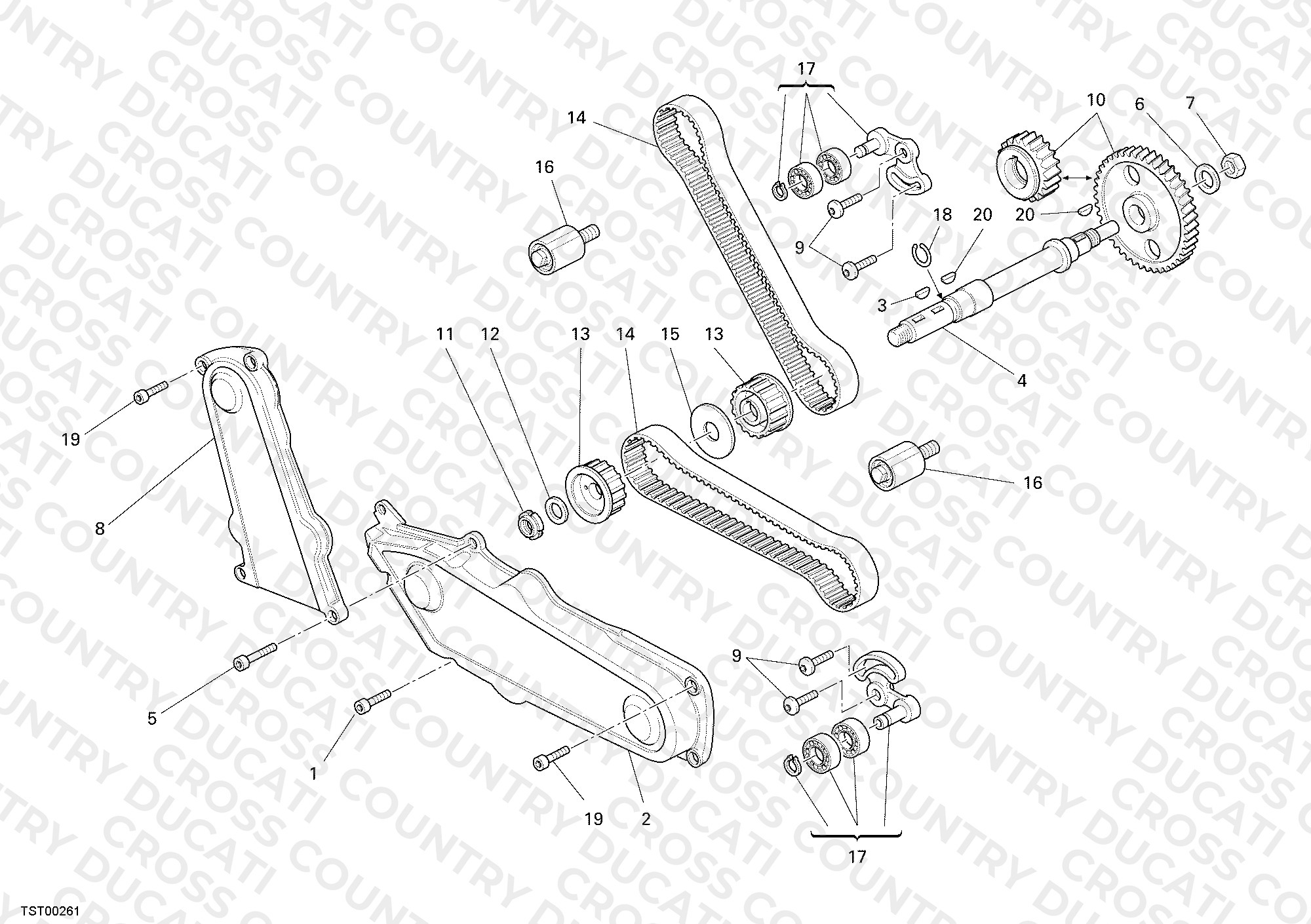 Timing Belt