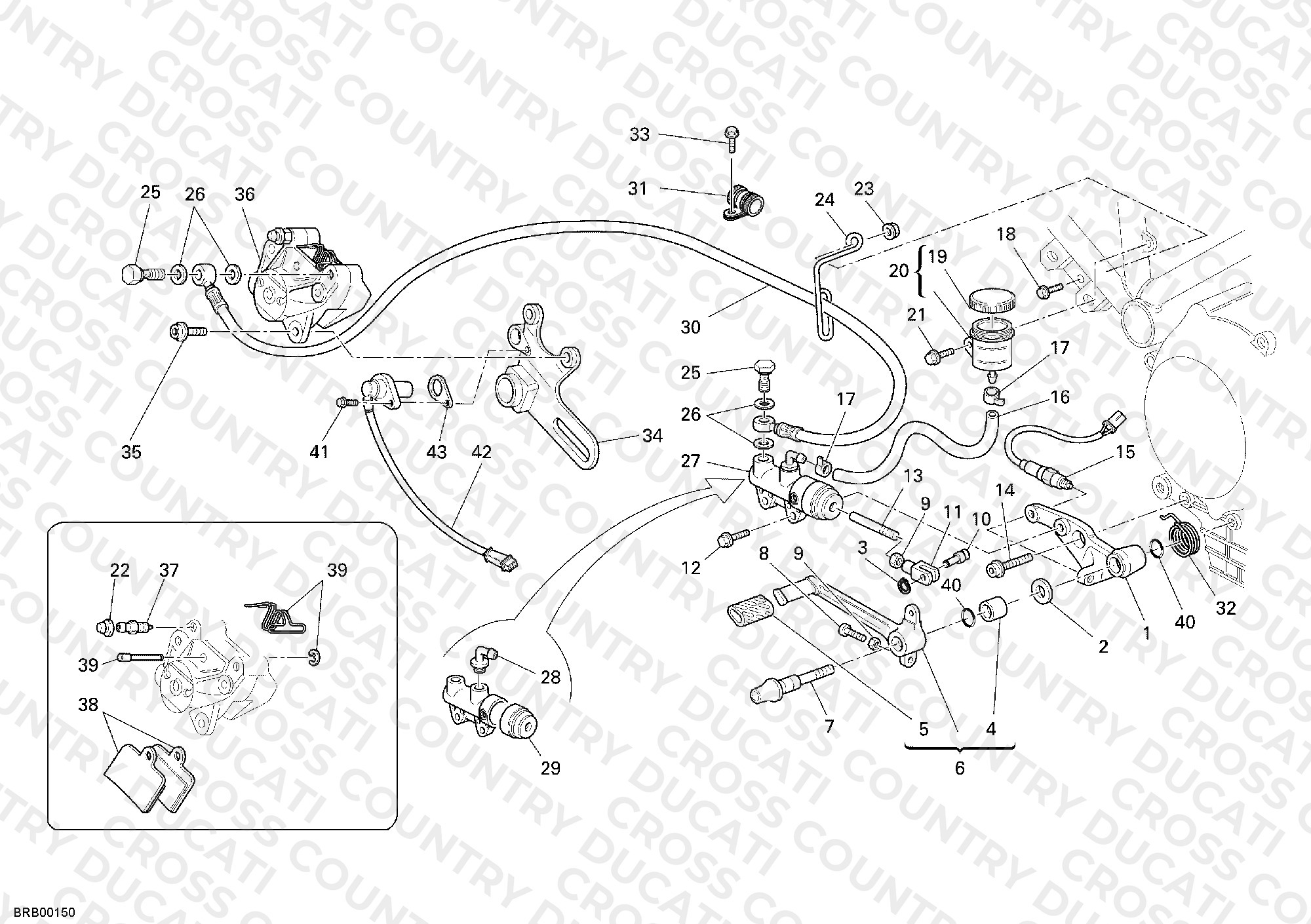 Rear Brake System