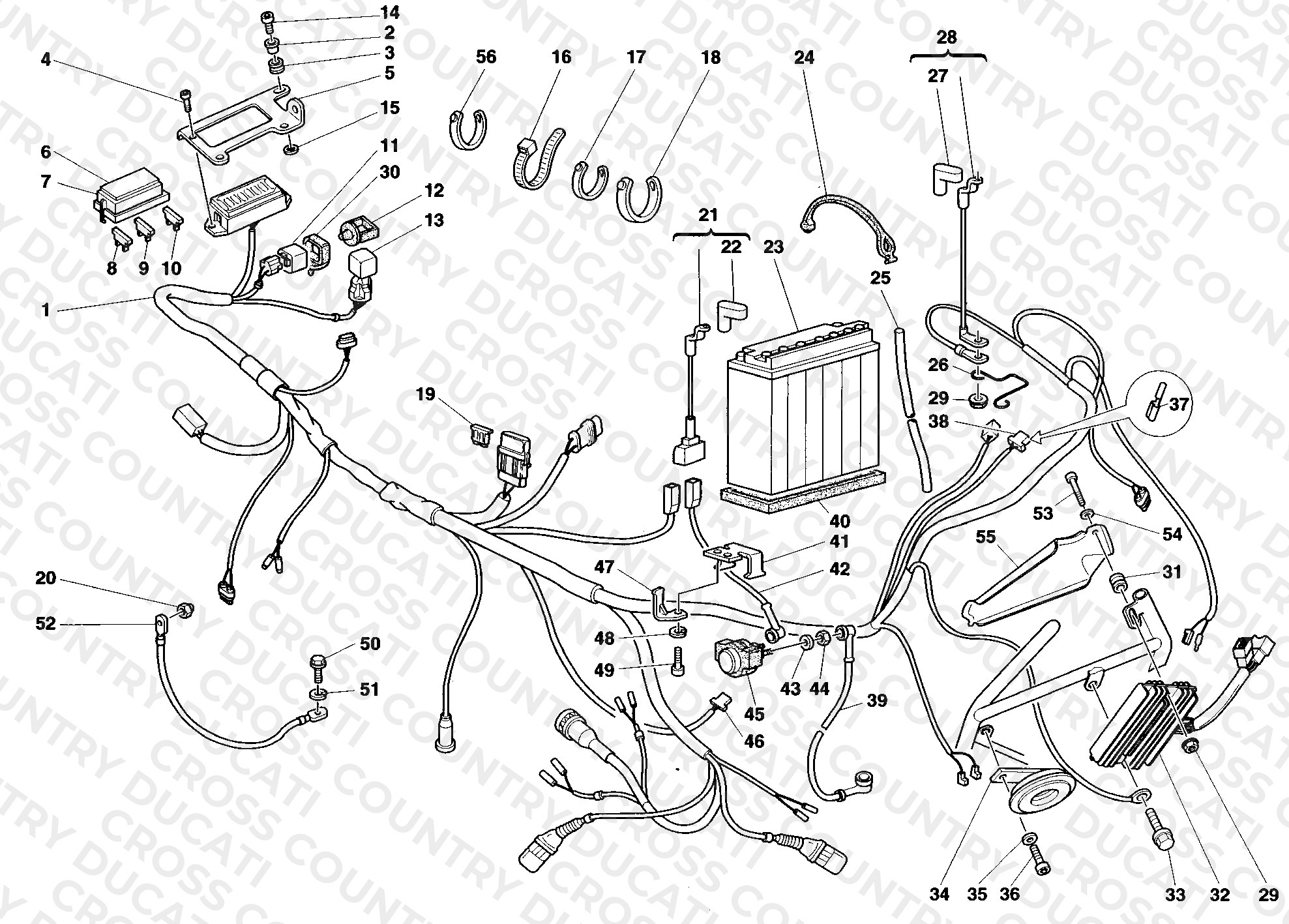 Wiring Harness