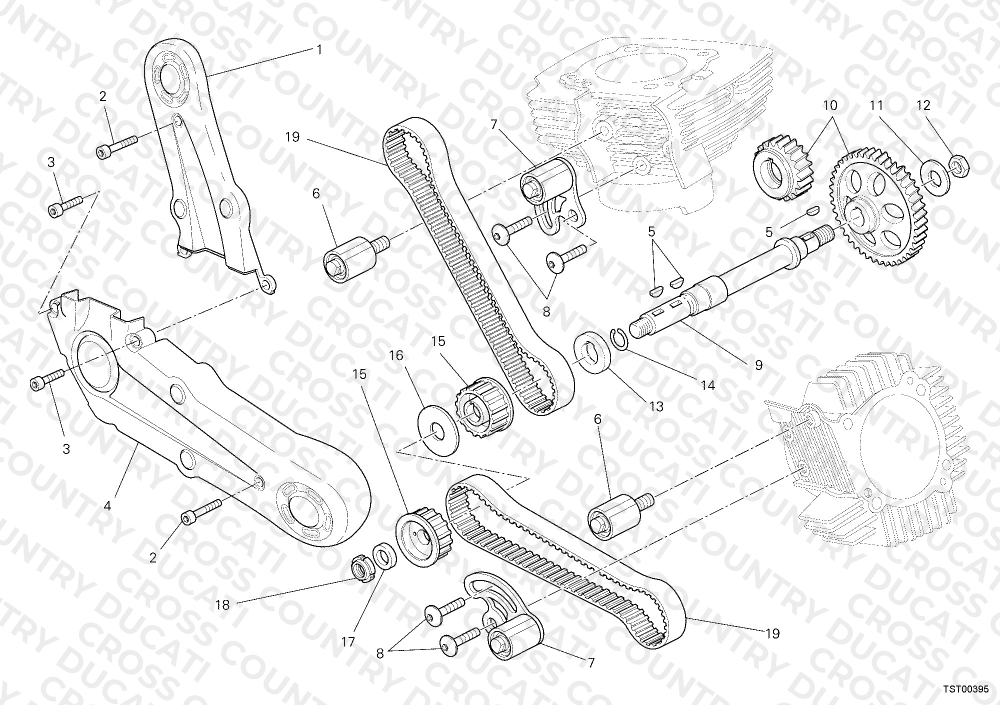 Timing Belt