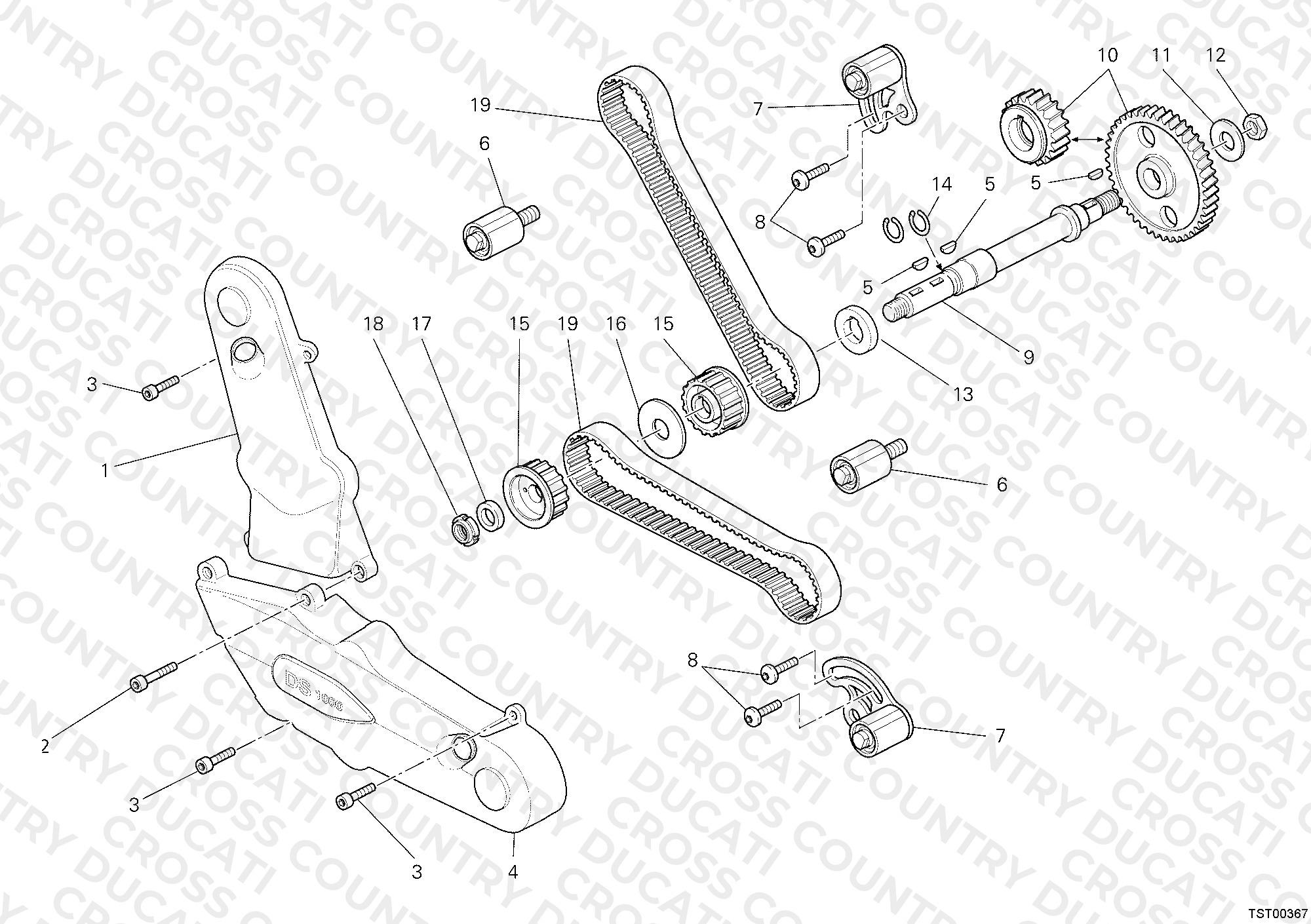 Timing Belt