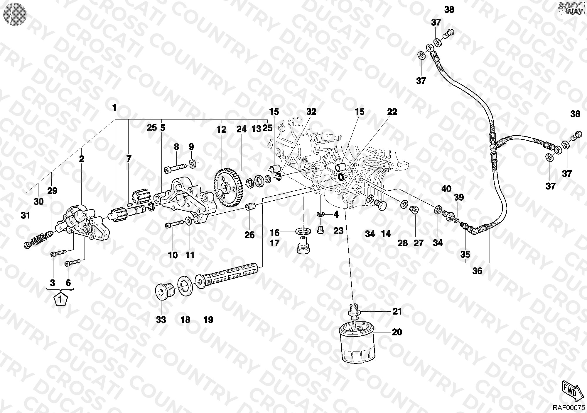 Oil Pump - Filter