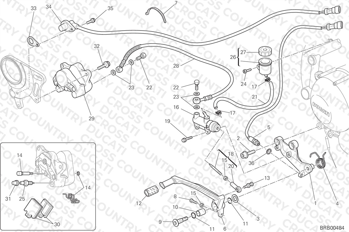 Rear Brake System