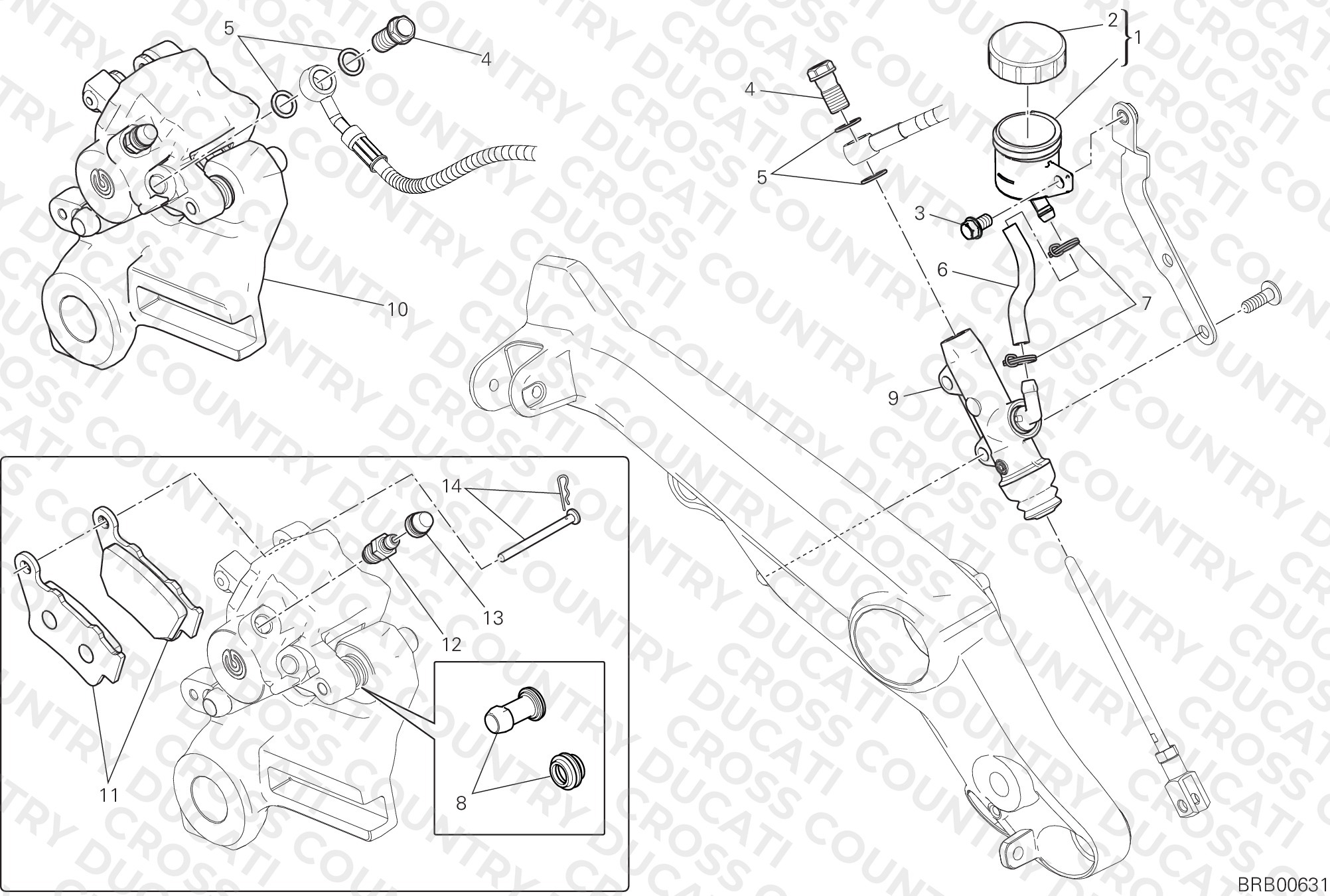 Rear Brake System