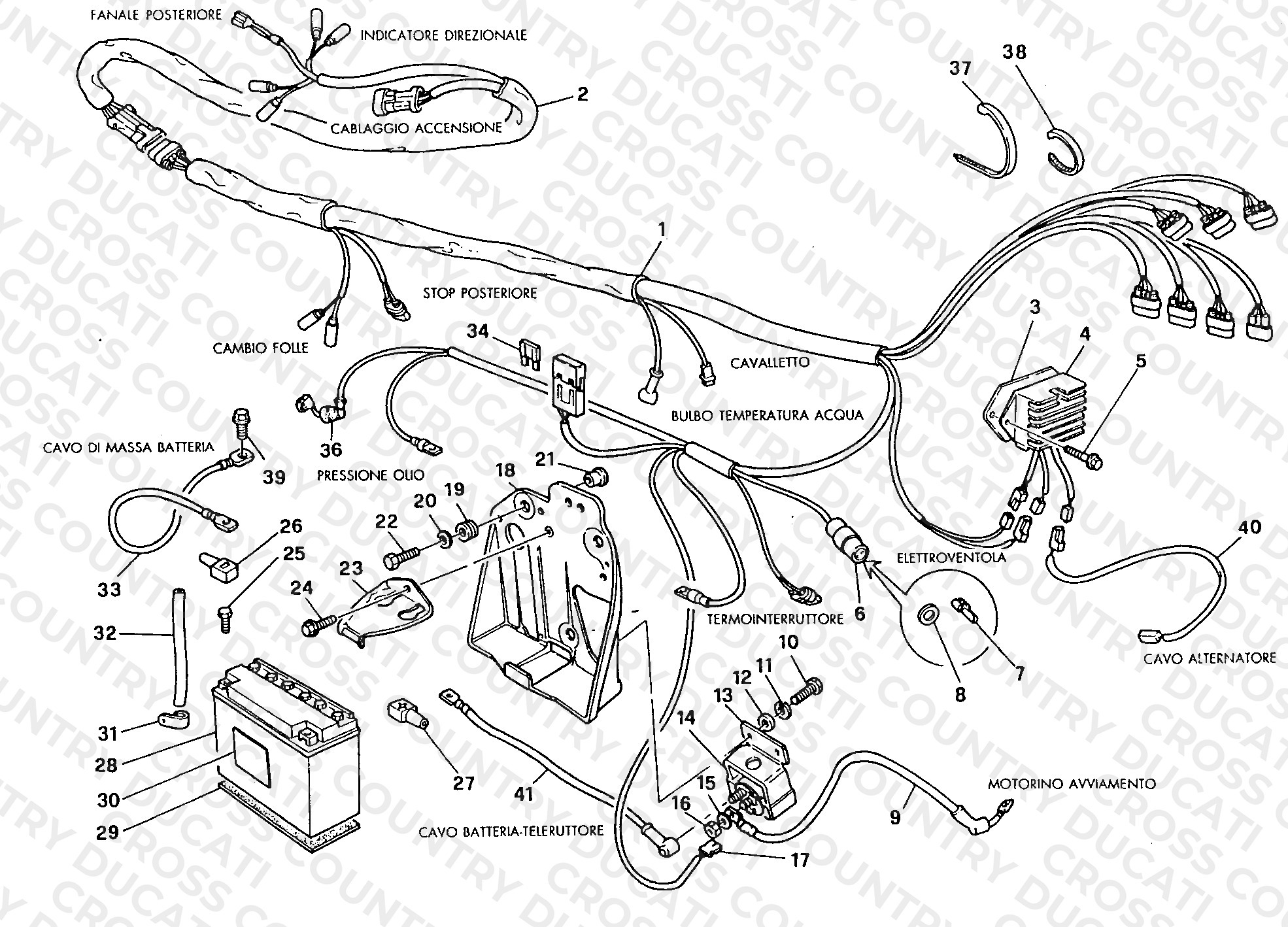 Wiring Harness