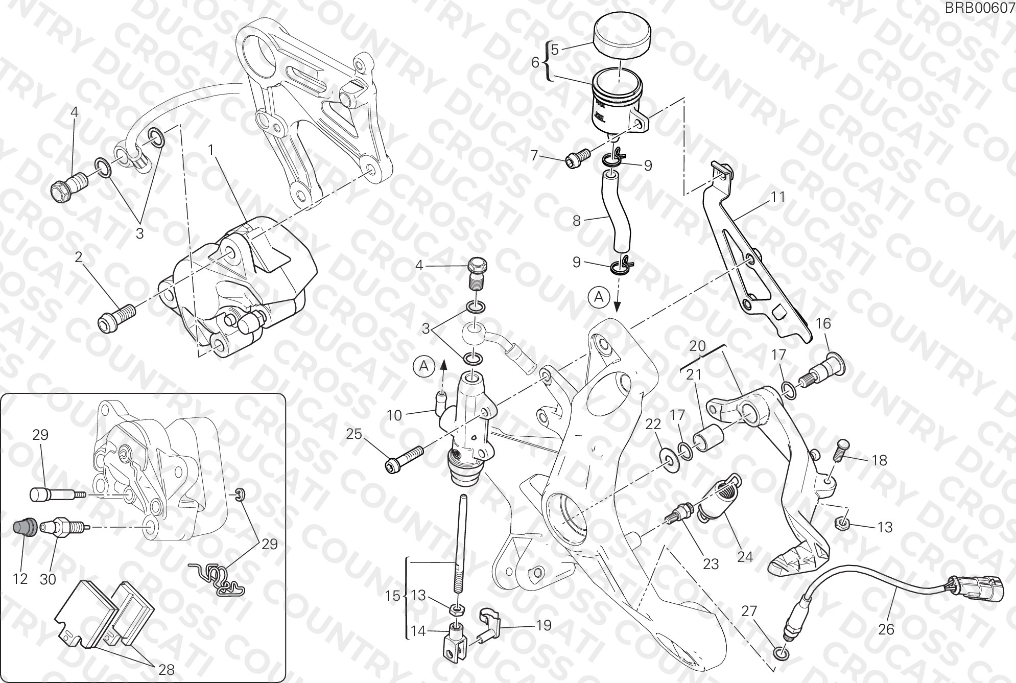Rear Brake System