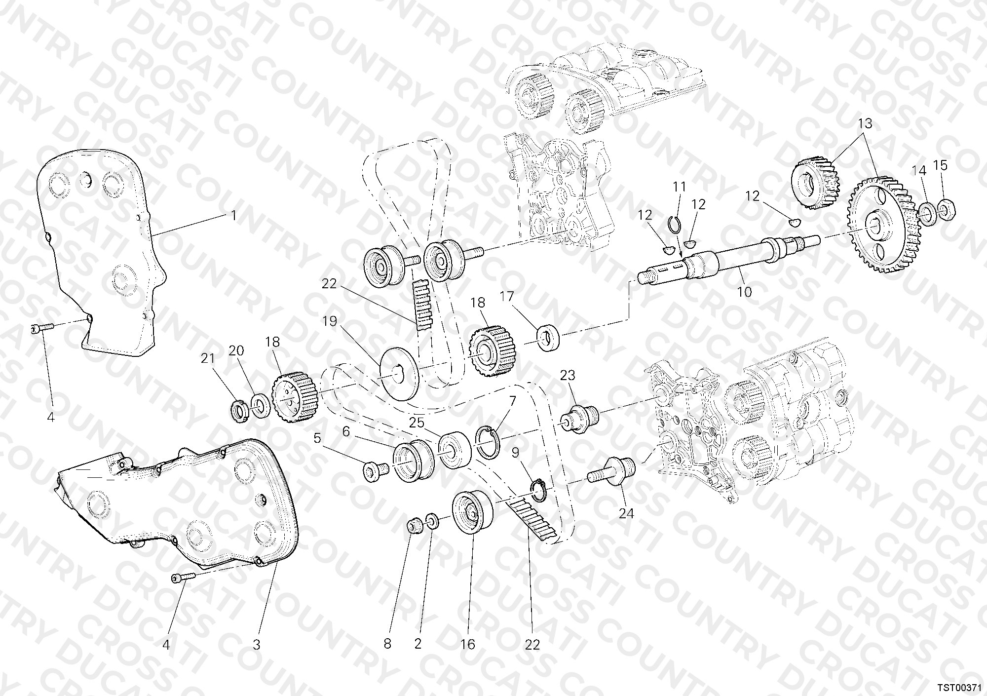 Timing Belt