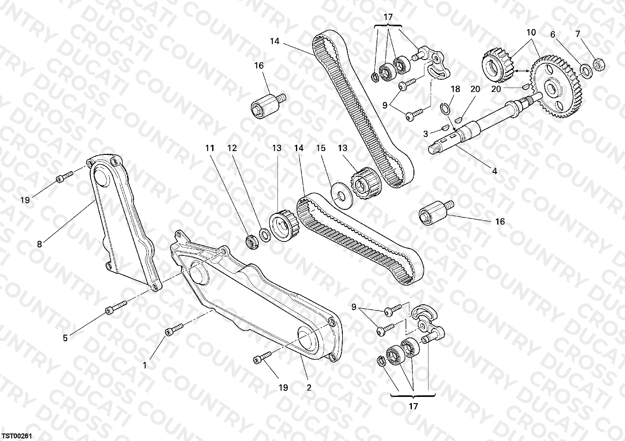 Timing Belt