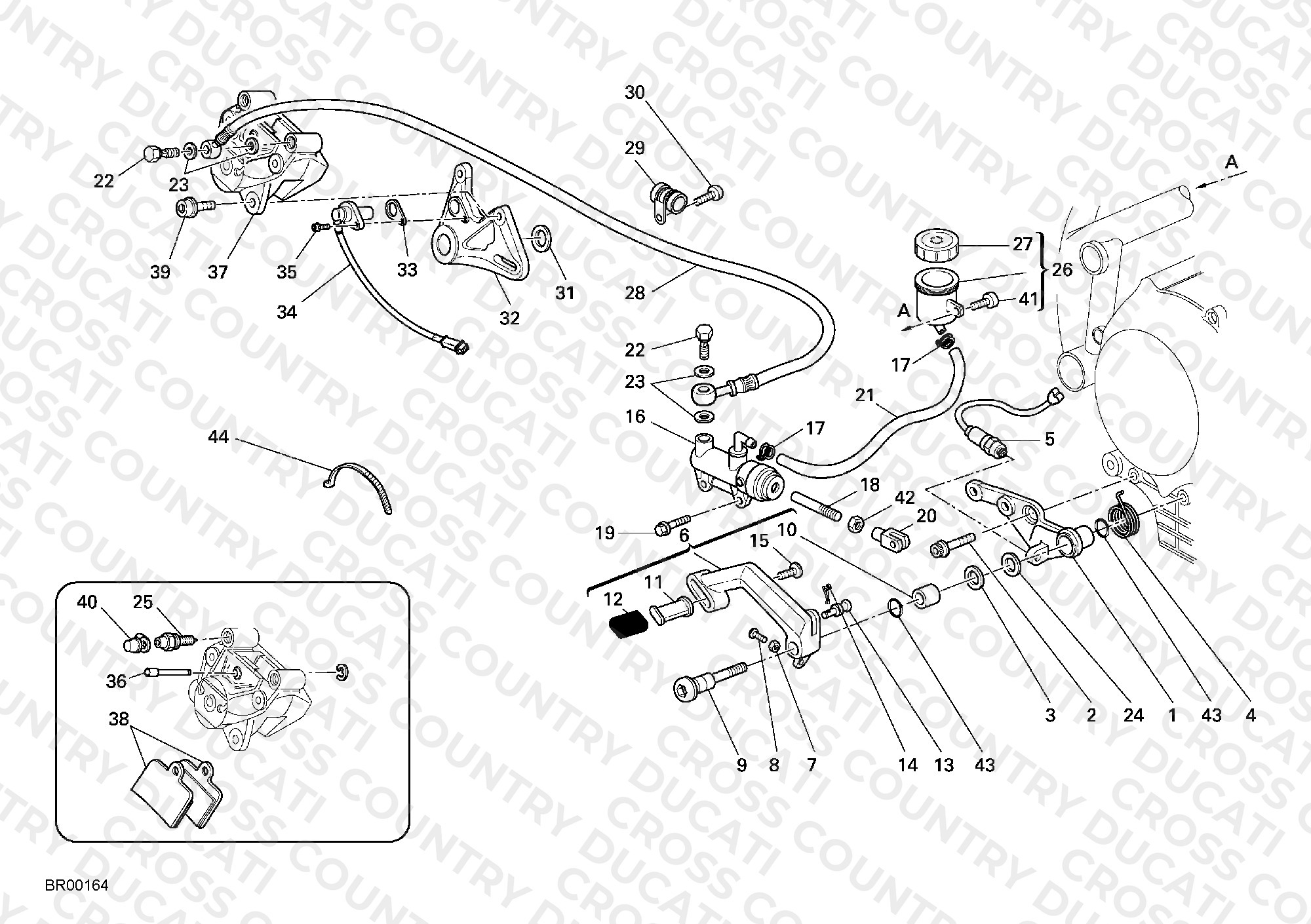 Rear Brake System