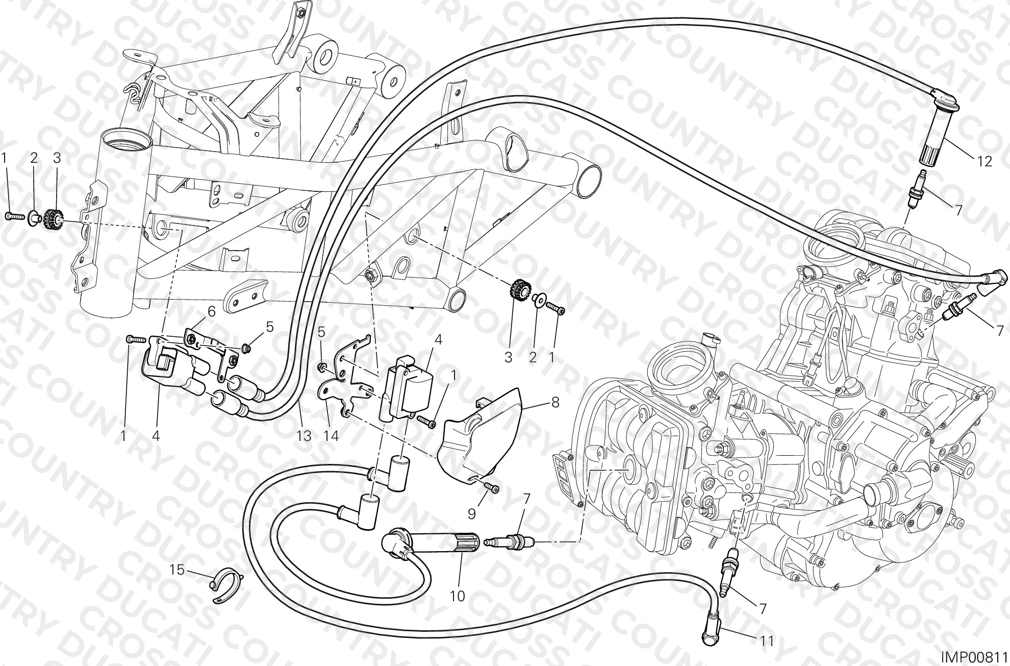 Wiring Harness (Coil)