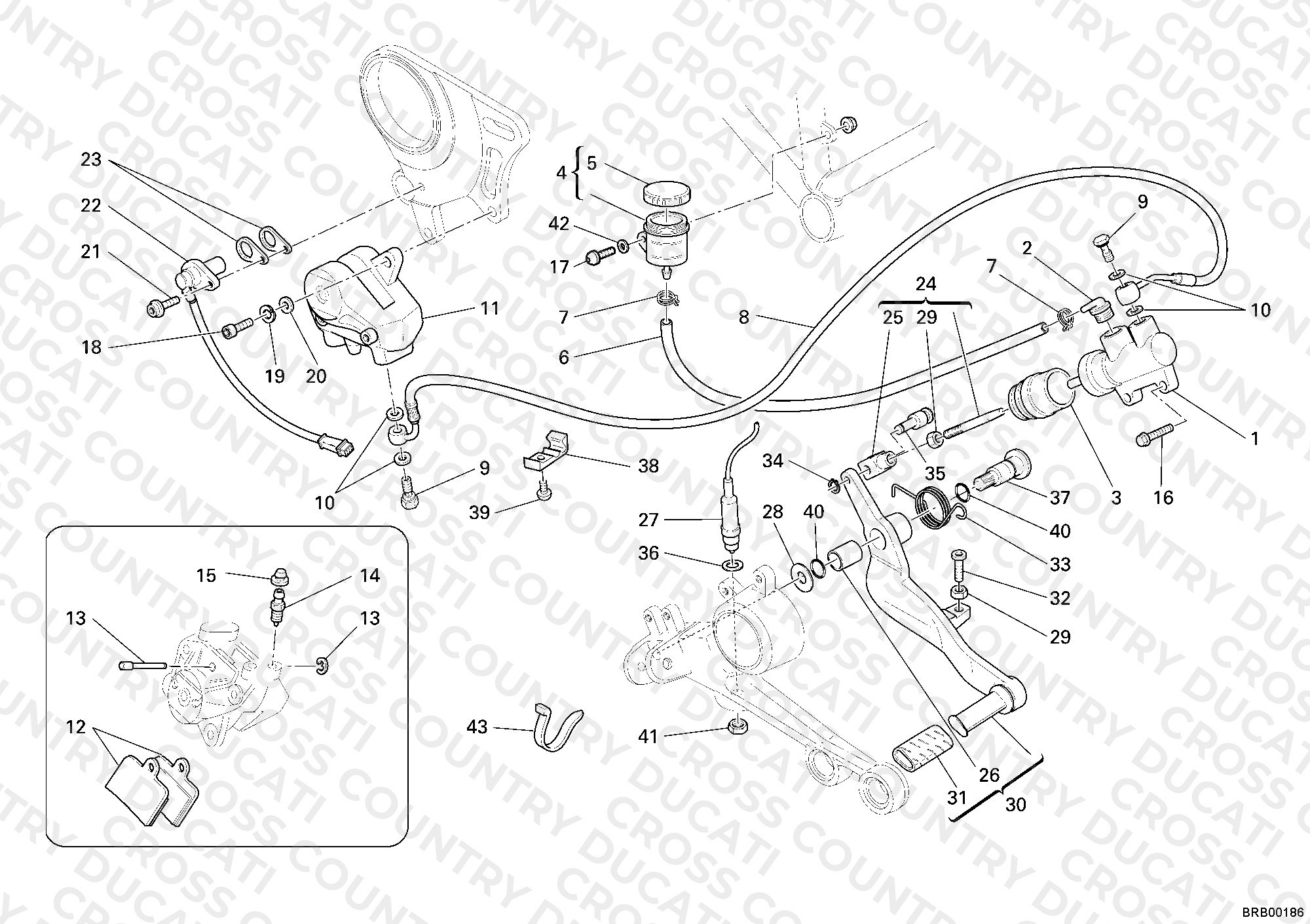 Rear Brake System