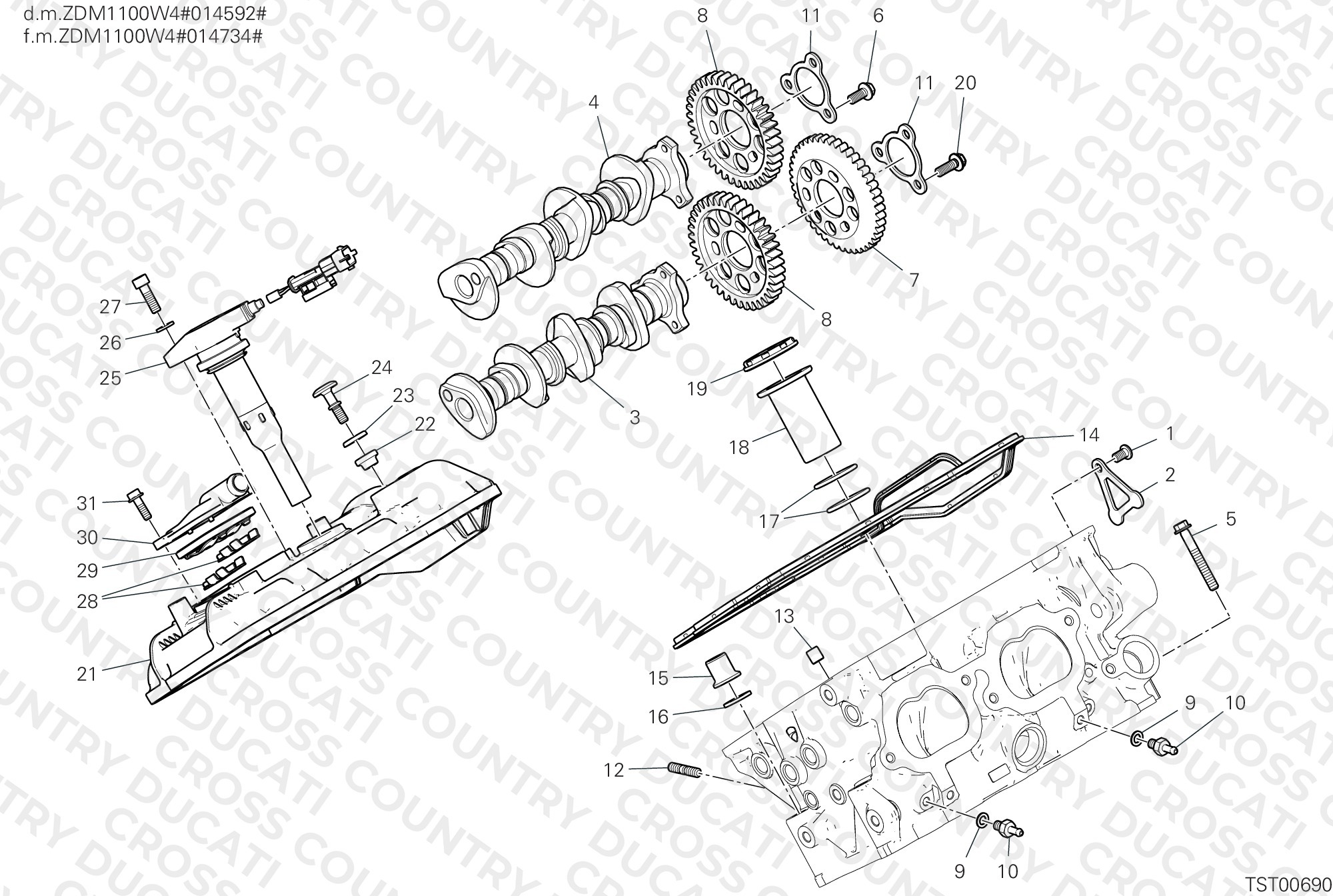 Rear Head - Timing System