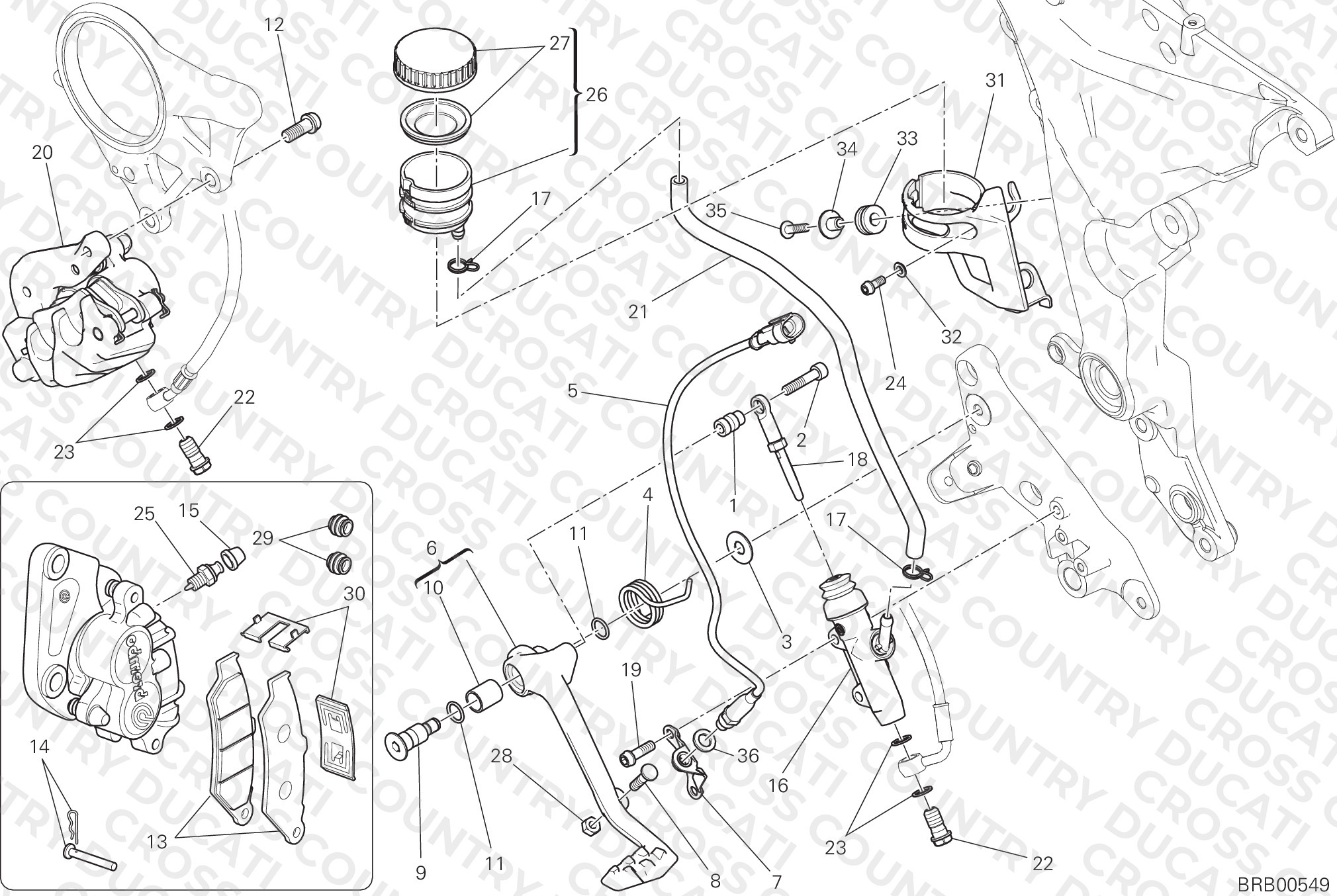 Rear Braking System
