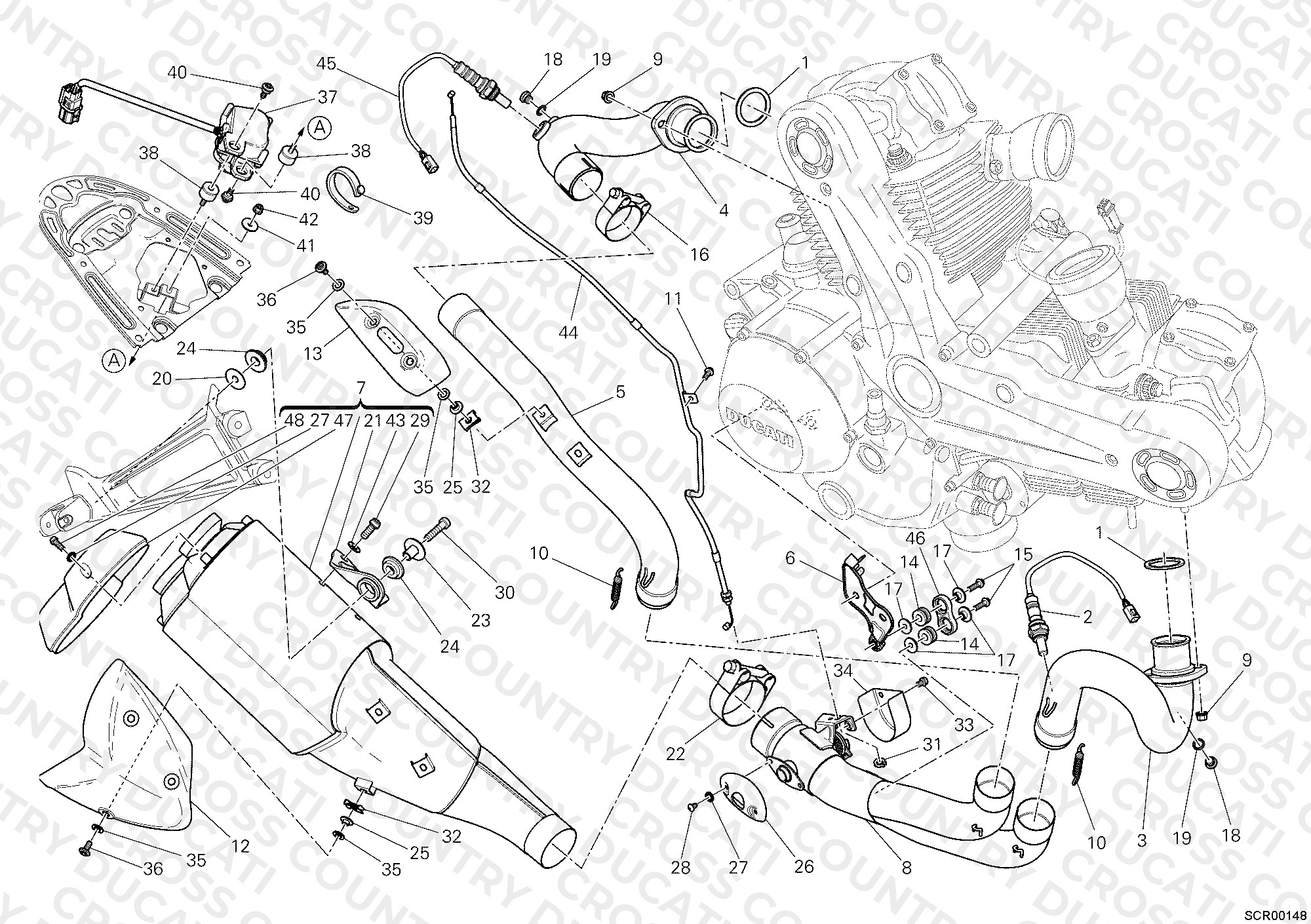 Exhaust System