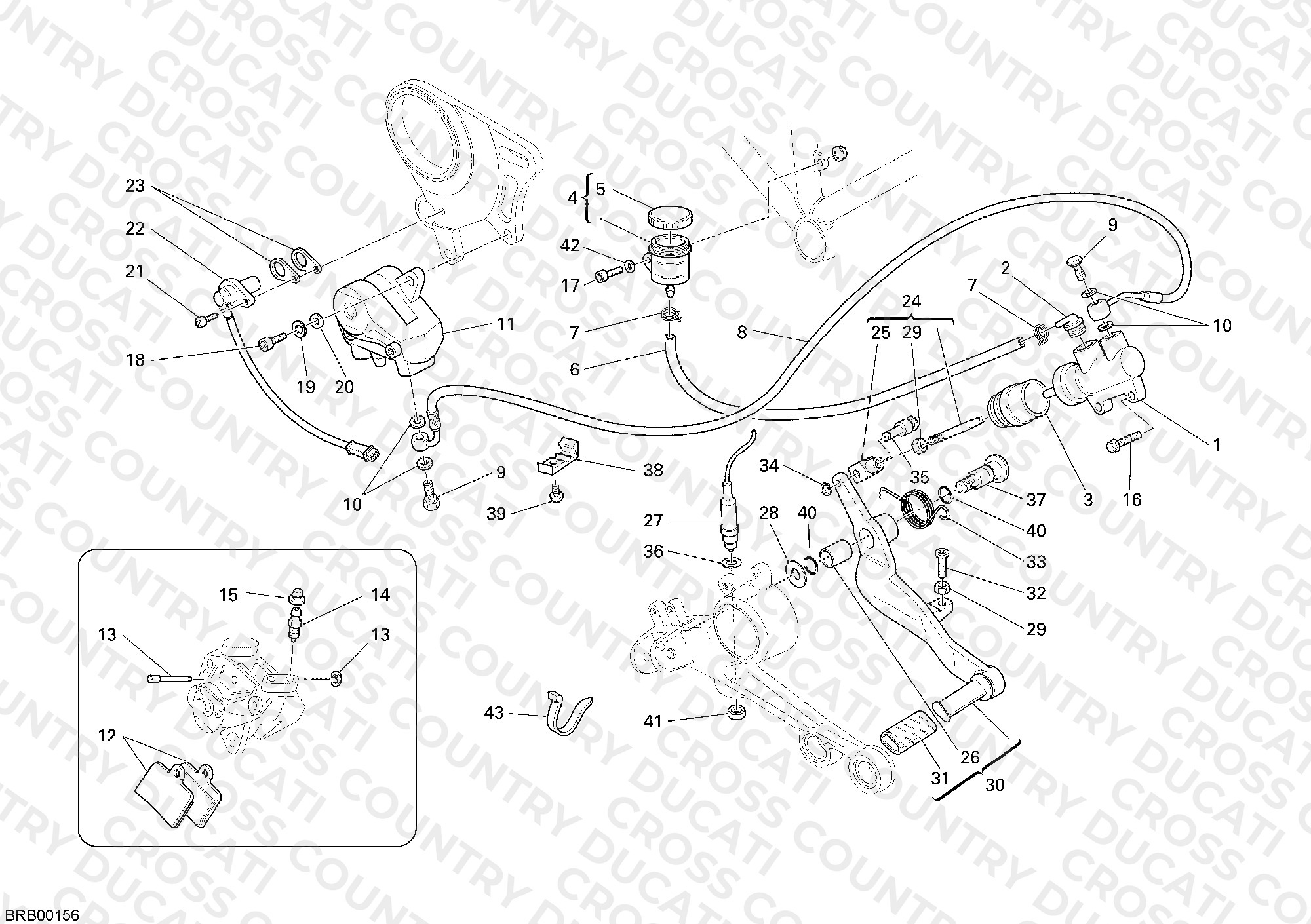Rear Brake System