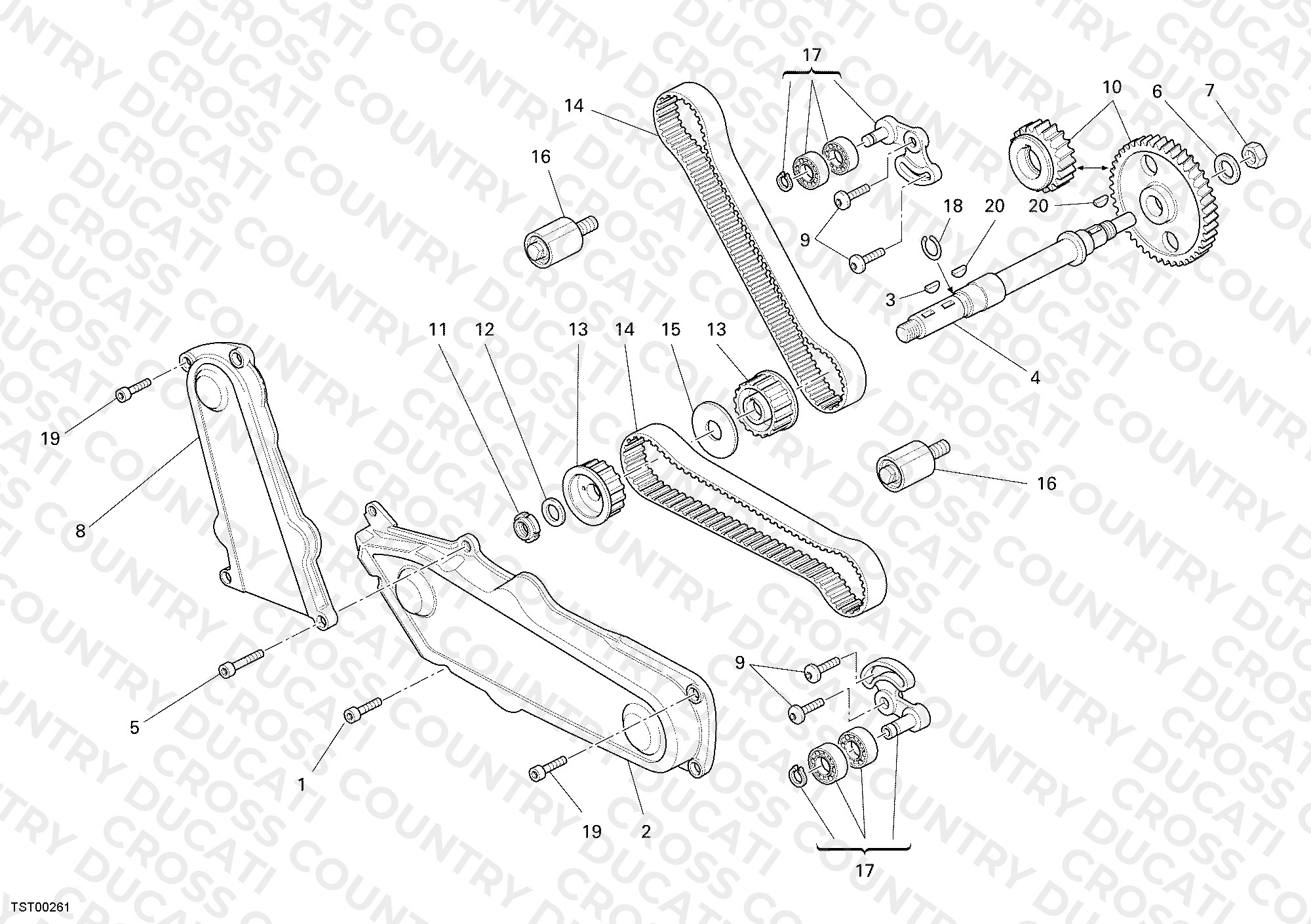 Timing Belt