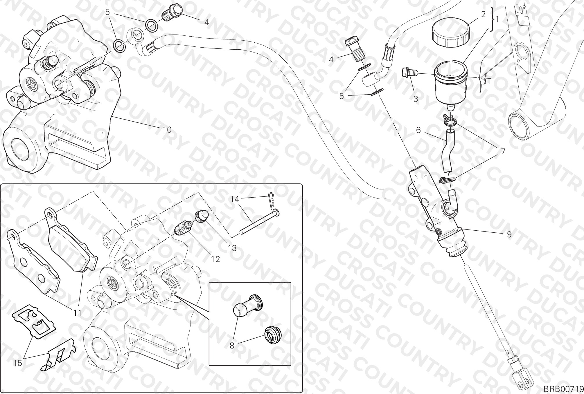 Rear Brake System